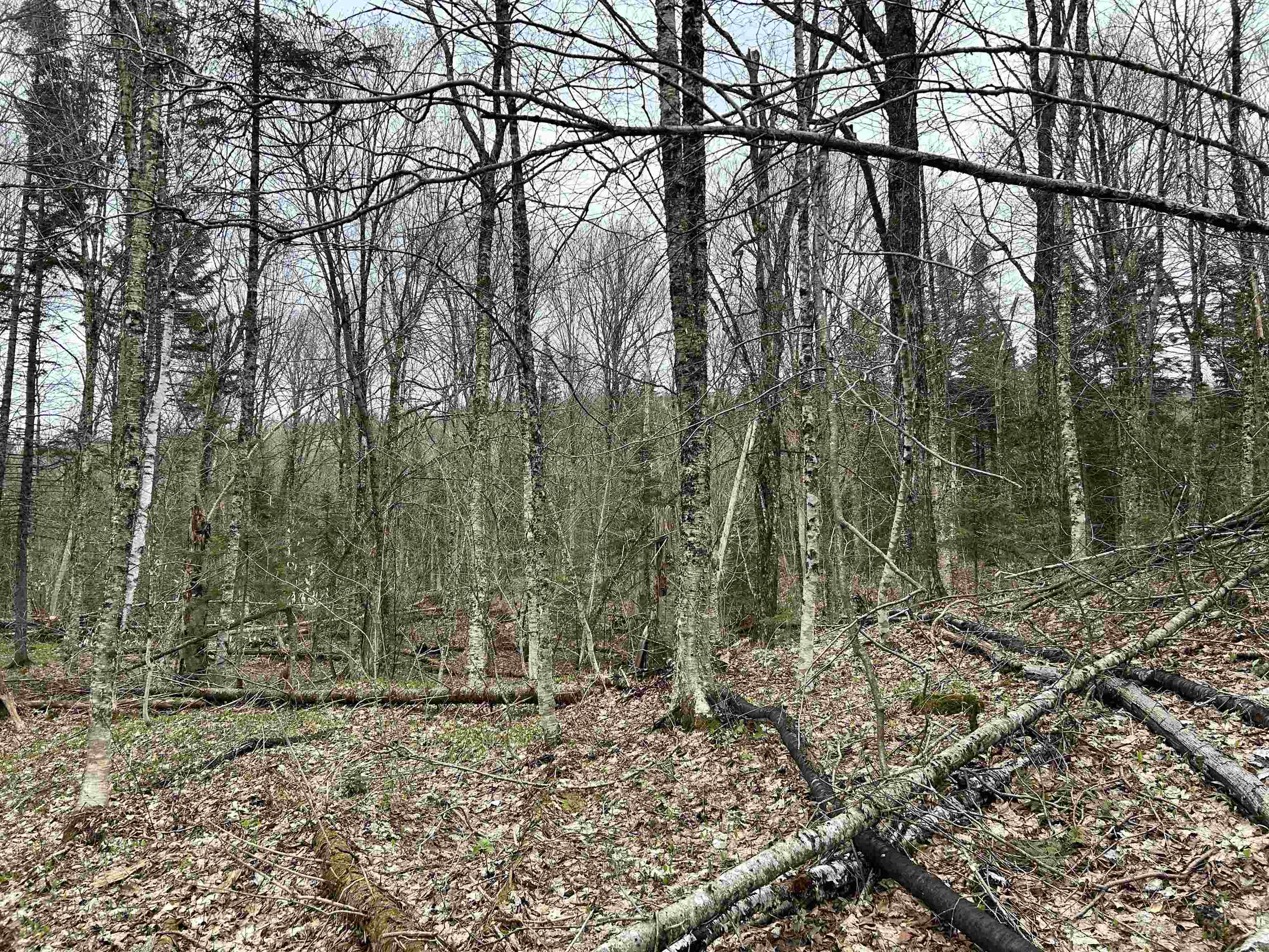 0 Andersonville Road Property Photo 6