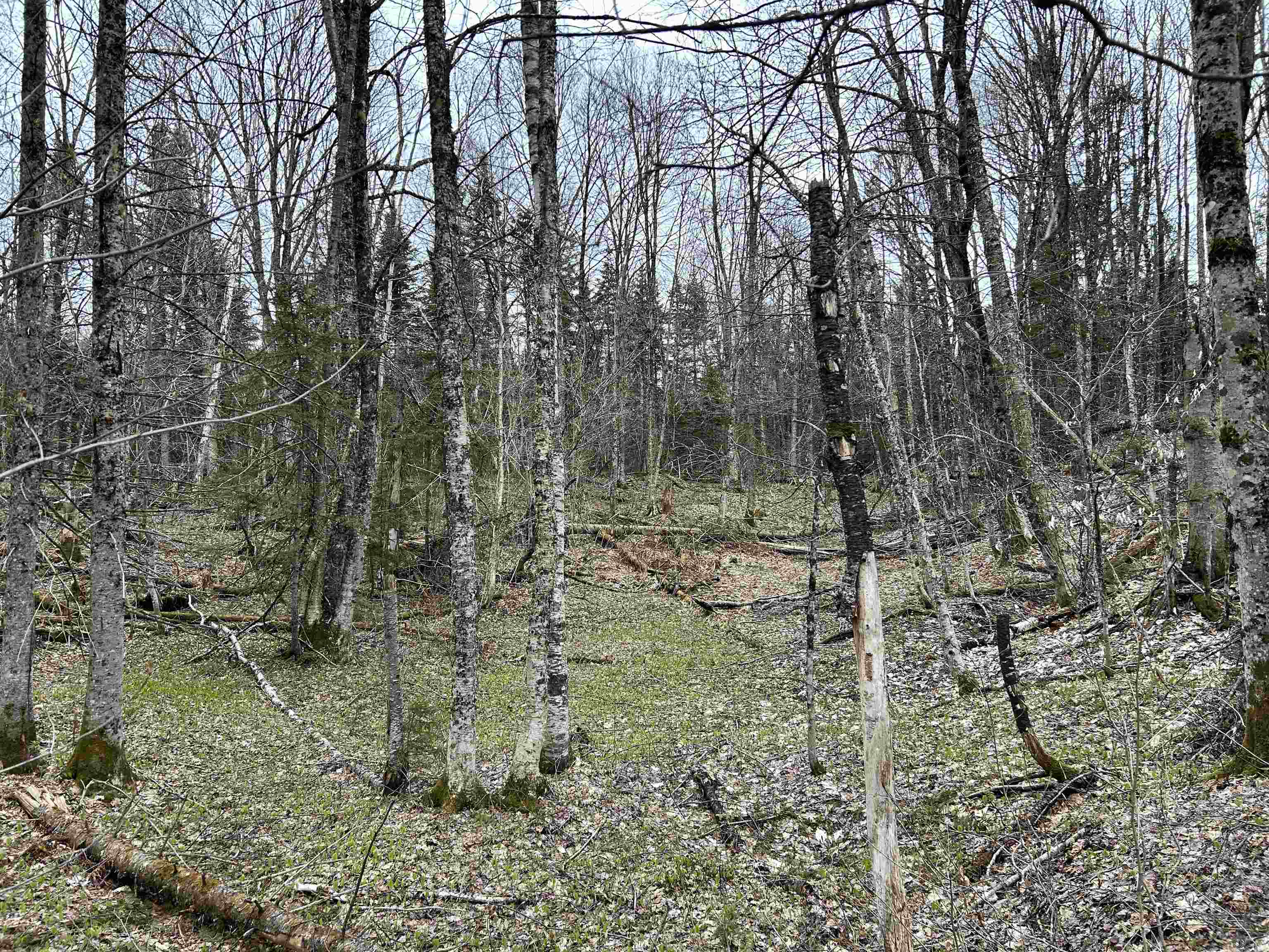 0 Andersonville Road Property Photo 7