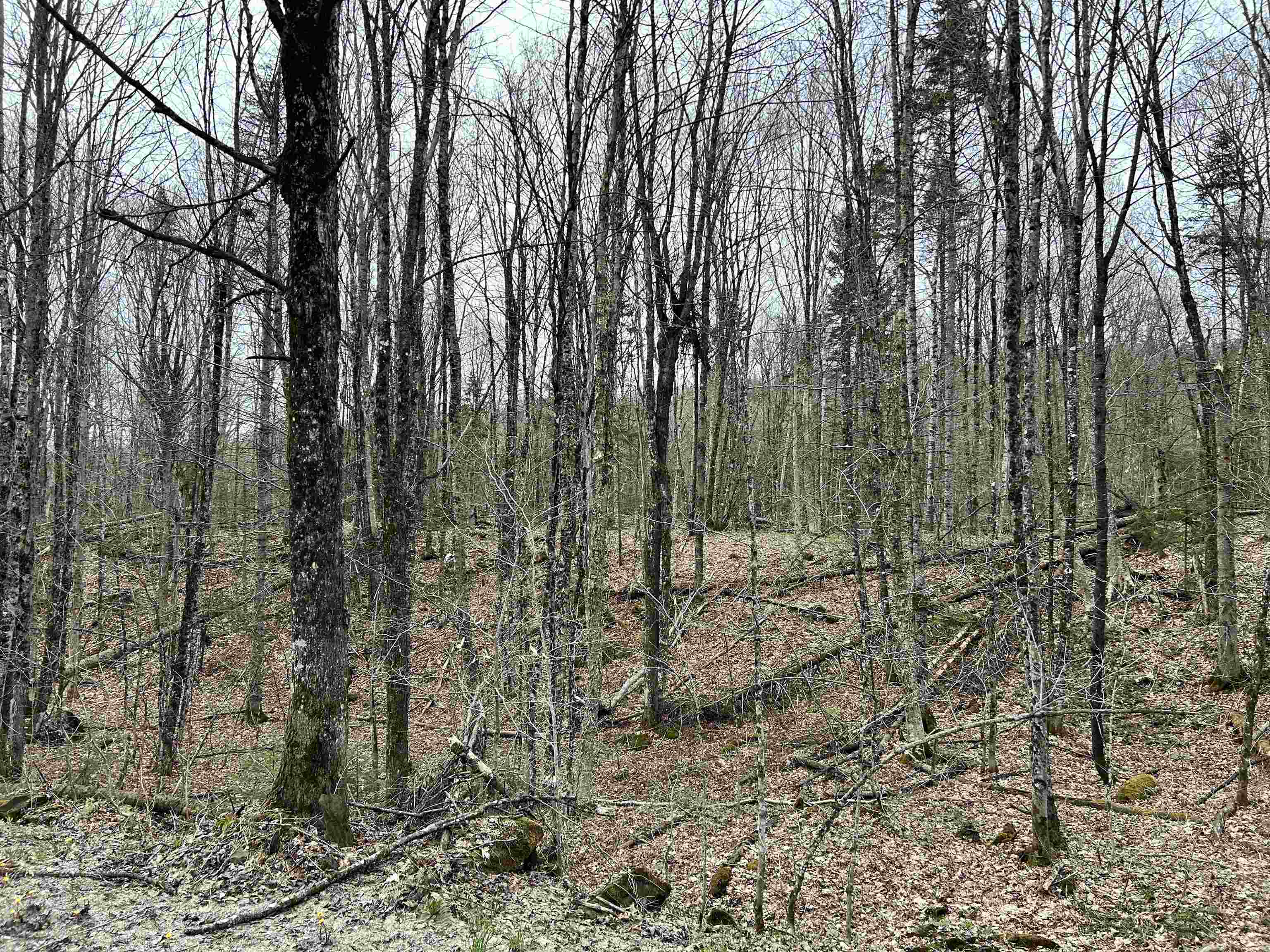 0 Andersonville Road Property Photo 8