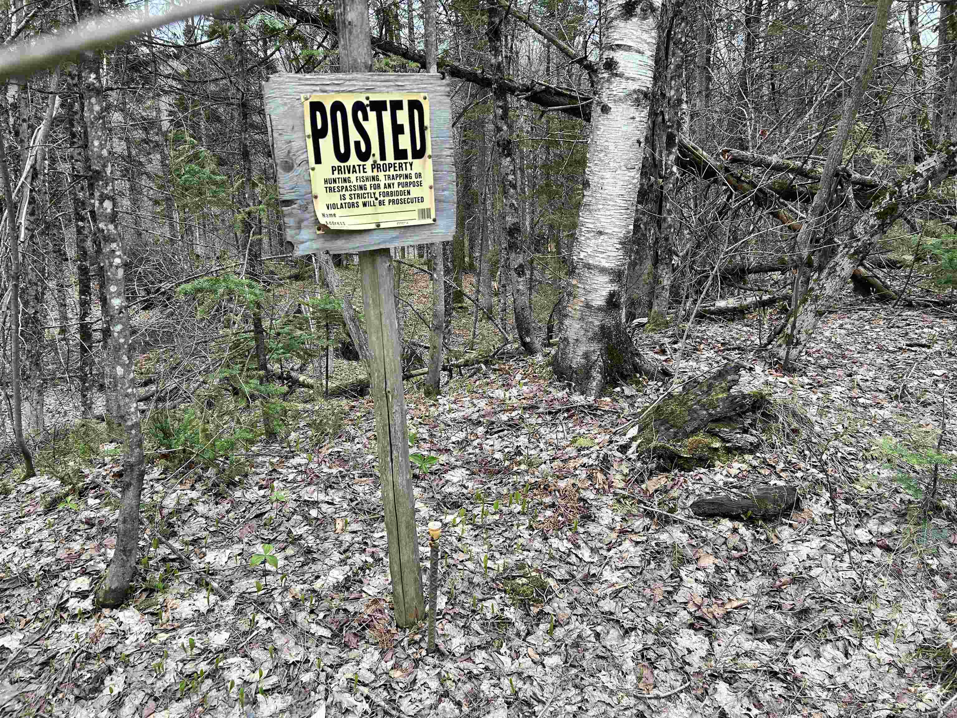0 Andersonville Road Property Photo 12