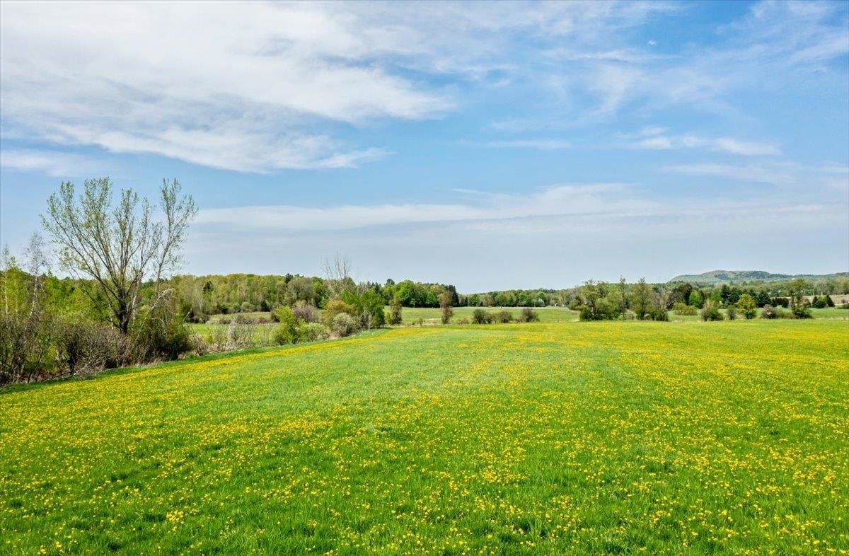 Lot 2 Plains Road Property Photo 6