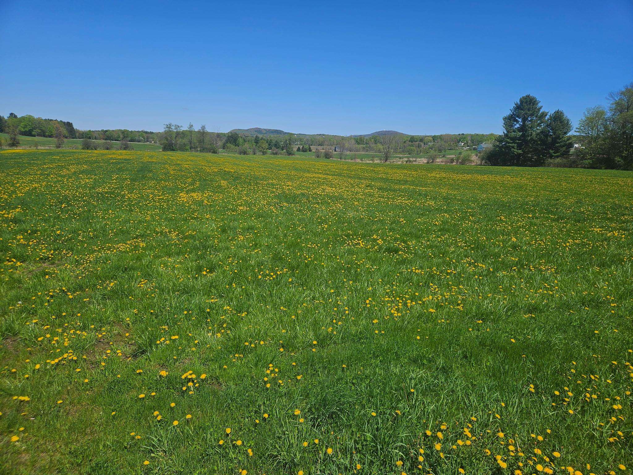Lot 2 Plains Road Property Photo 7
