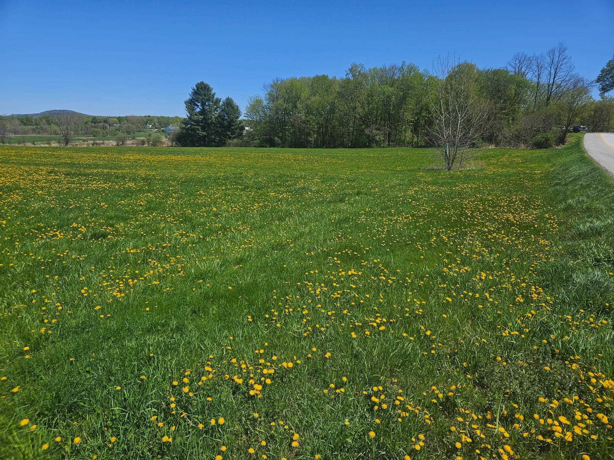 Lot 2 Plains Road Property Photo 8