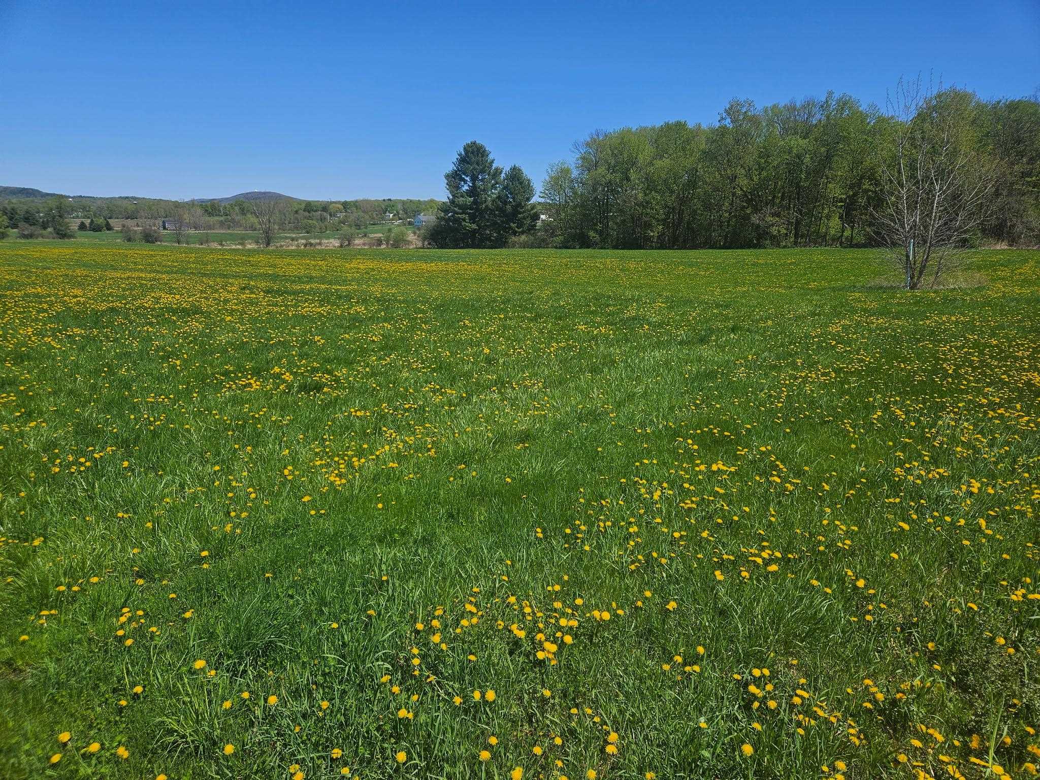 Lot 2 Plains Road Property Photo 9