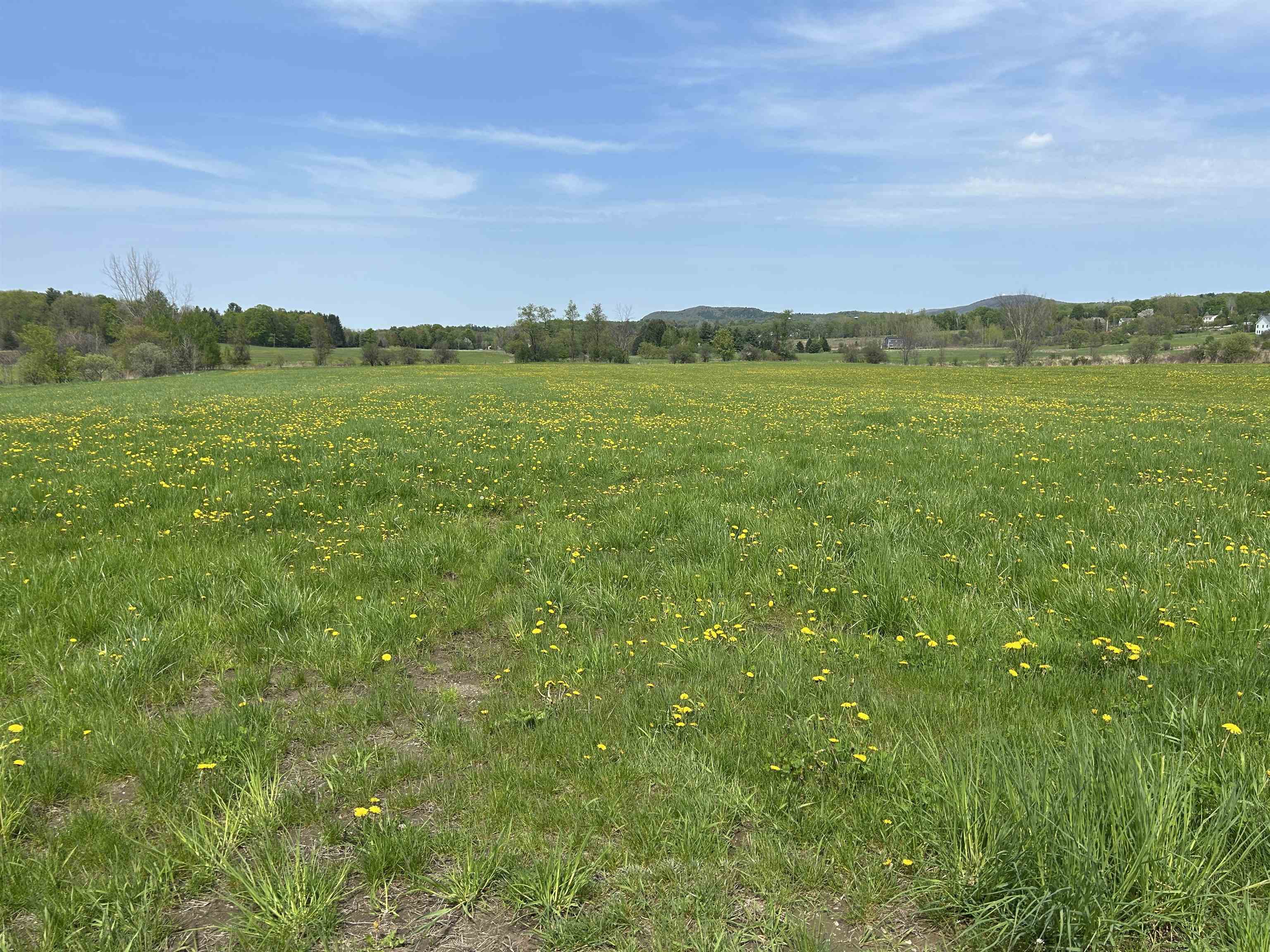 Lot 2 Plains Road Property Photo 10