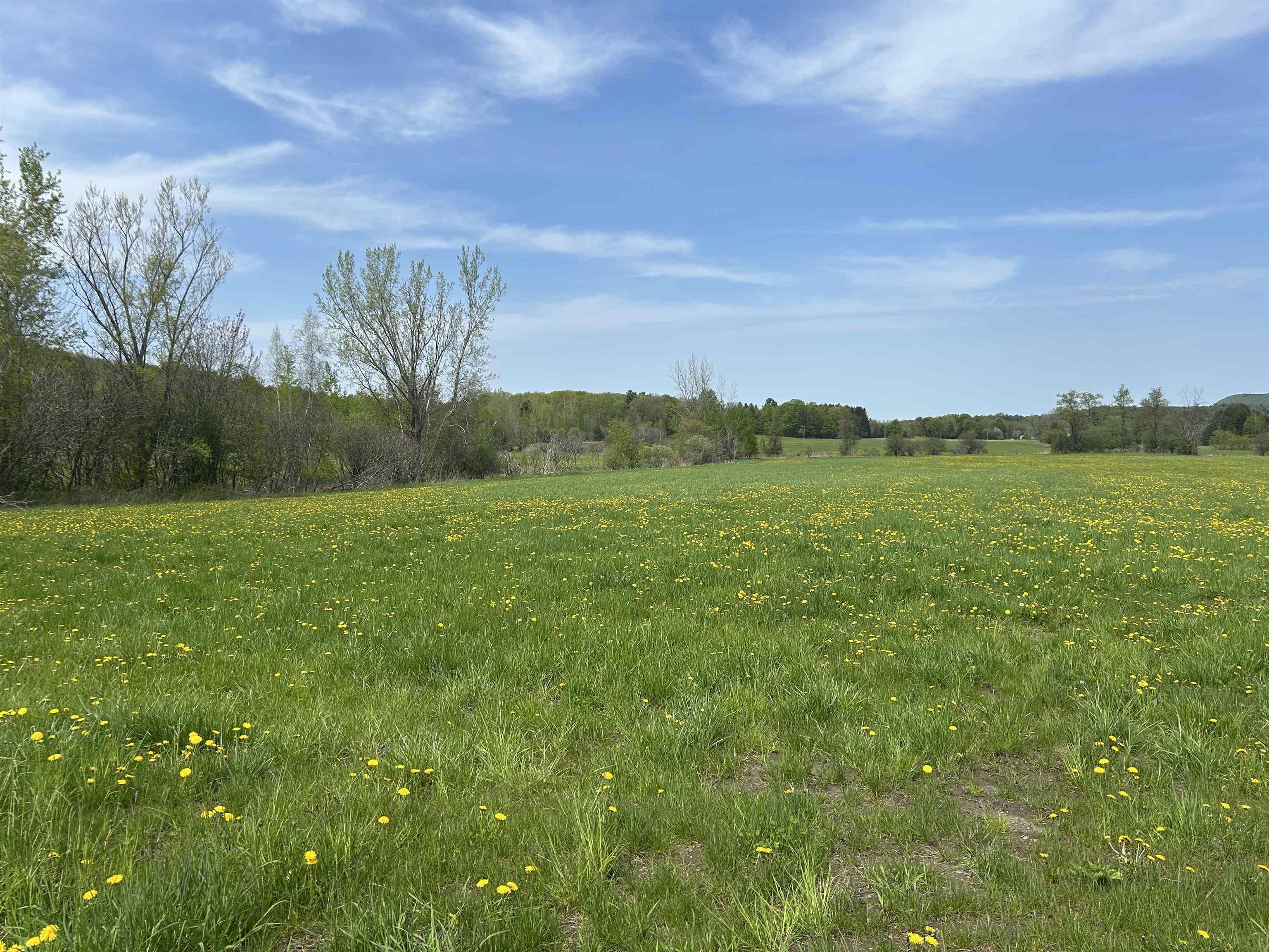 Lot 2 Plains Road Property Photo 12