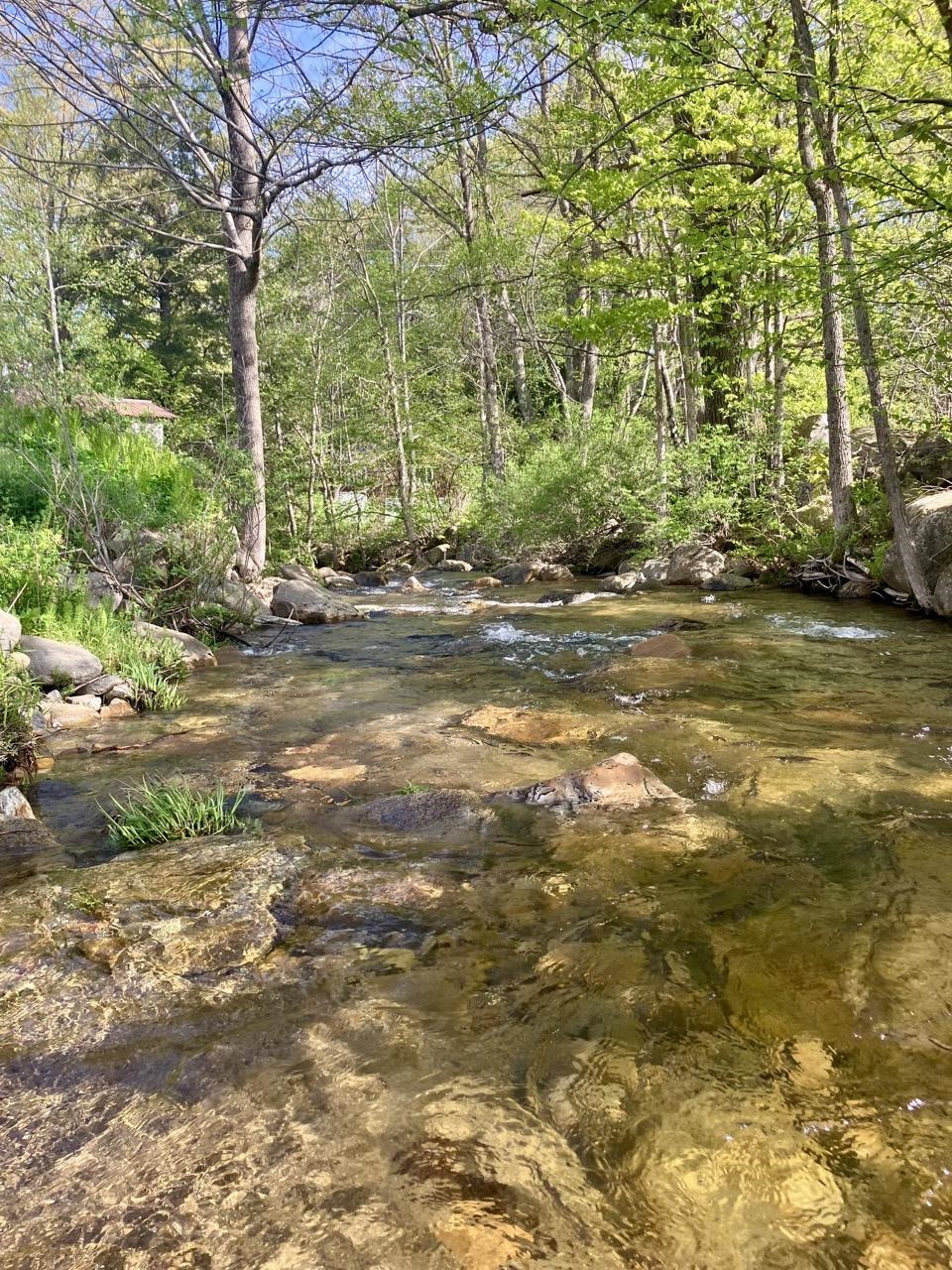 1739 Vermont Route 140 Property Photo 47