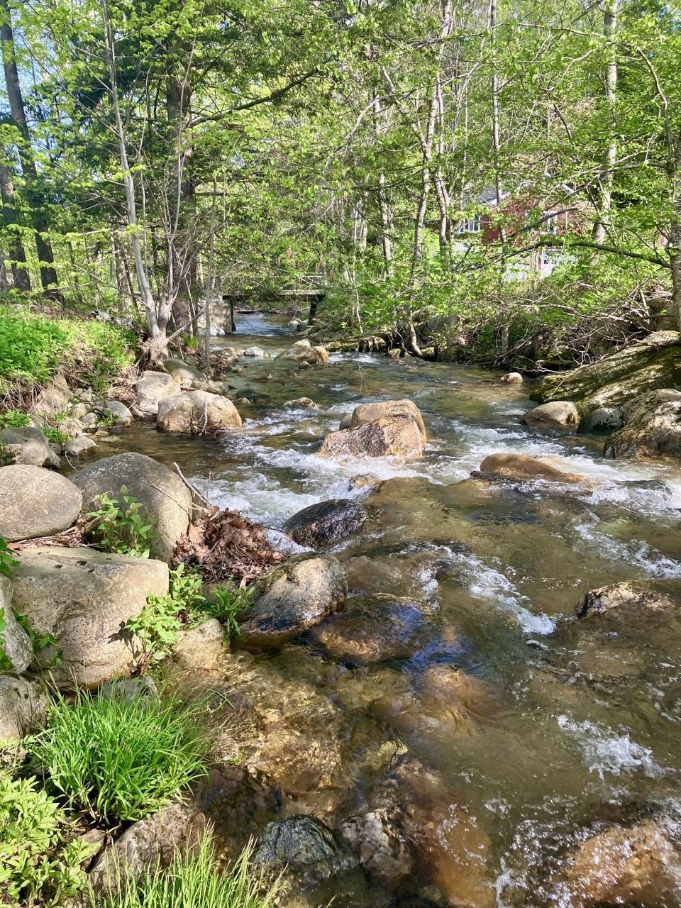 1739 Vermont Route 140 Property Photo 48