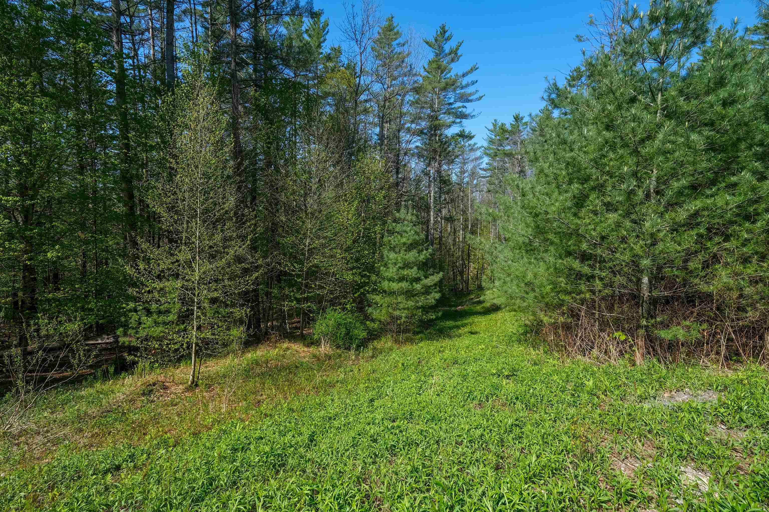 0 Cedar Drive Property Photo 1