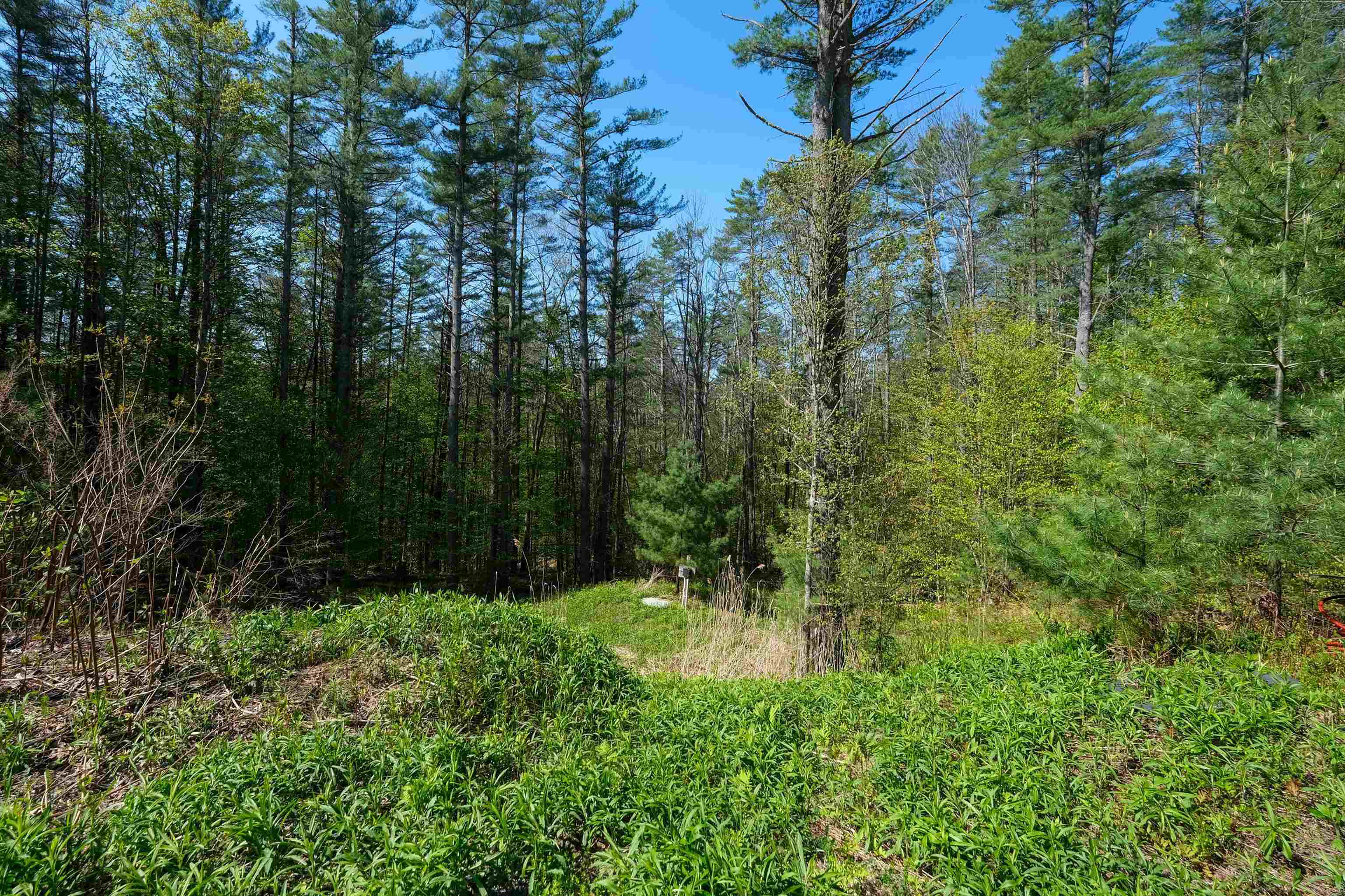 0 Cedar Drive Property Photo 2