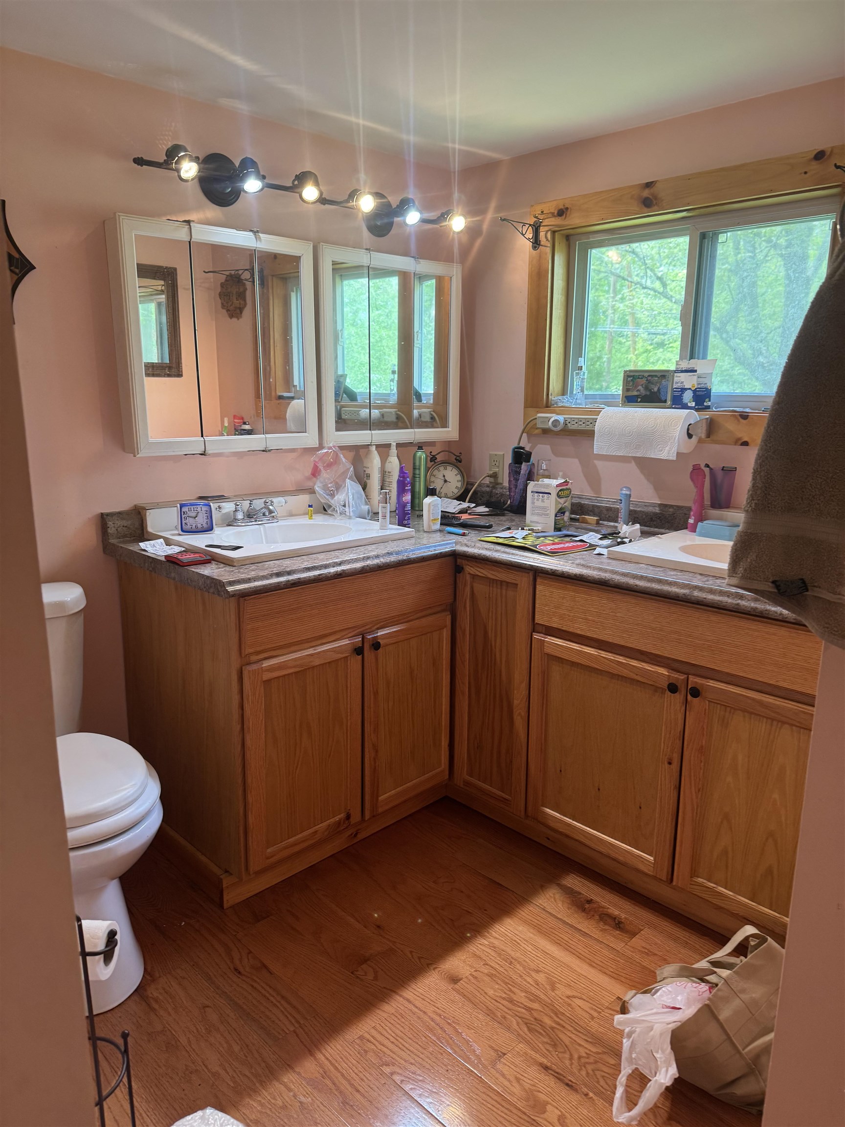 1355 Lake Dunmore Road Property Photo 13