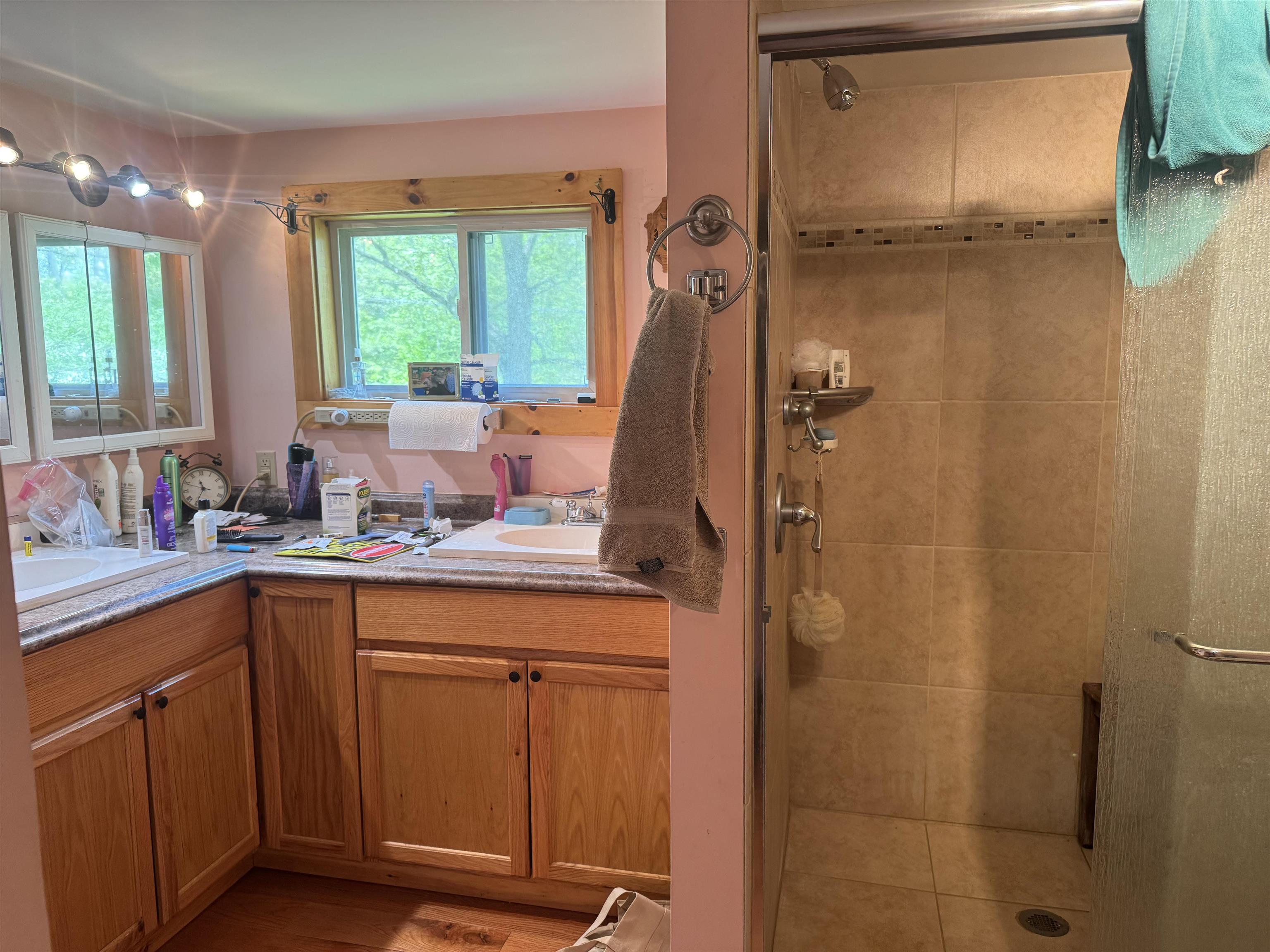 1355 Lake Dunmore Road Property Photo 14