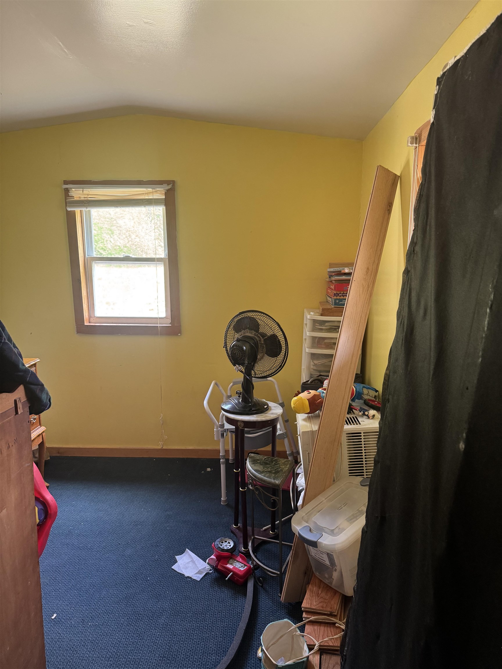 1355 Lake Dunmore Road Property Photo 19