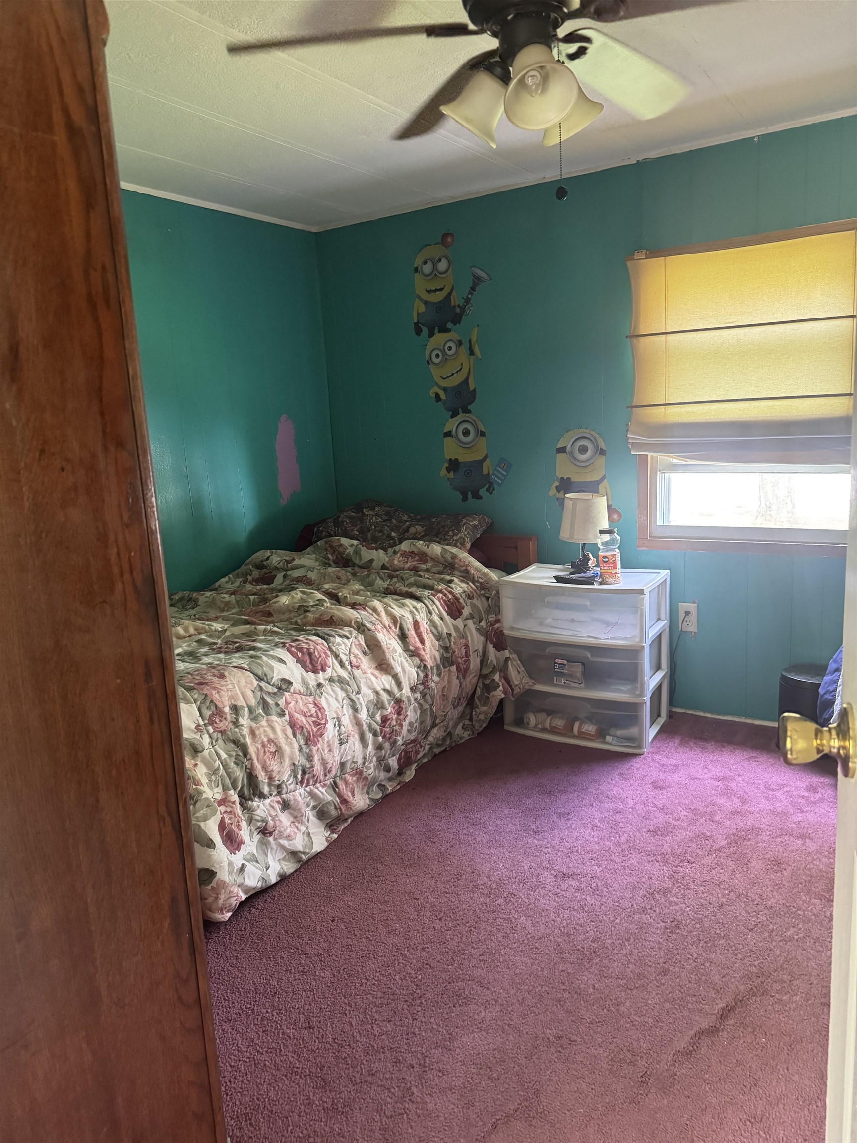 1355 Lake Dunmore Road Property Photo 20