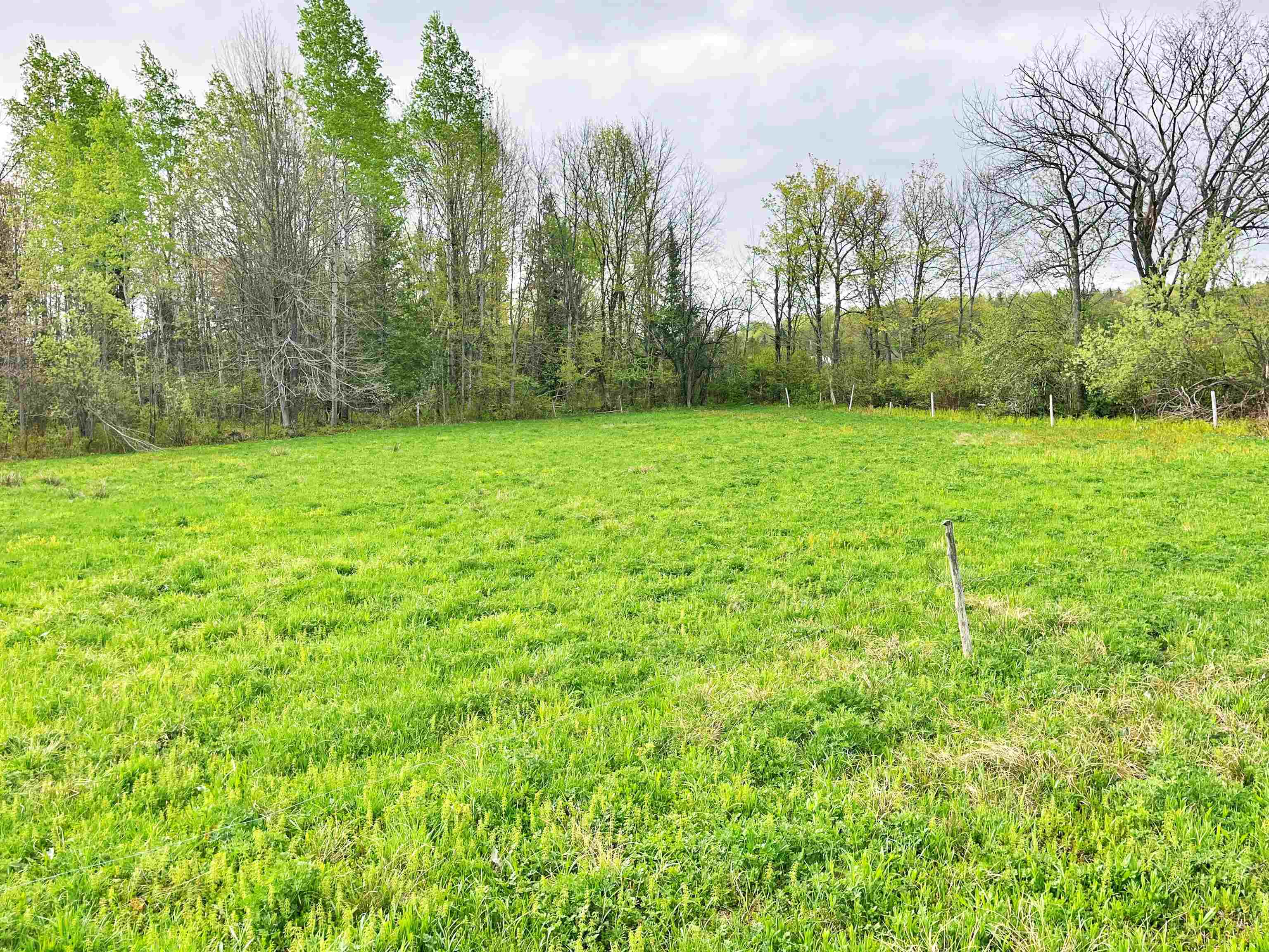 825 Centebar Road Property Photo 16