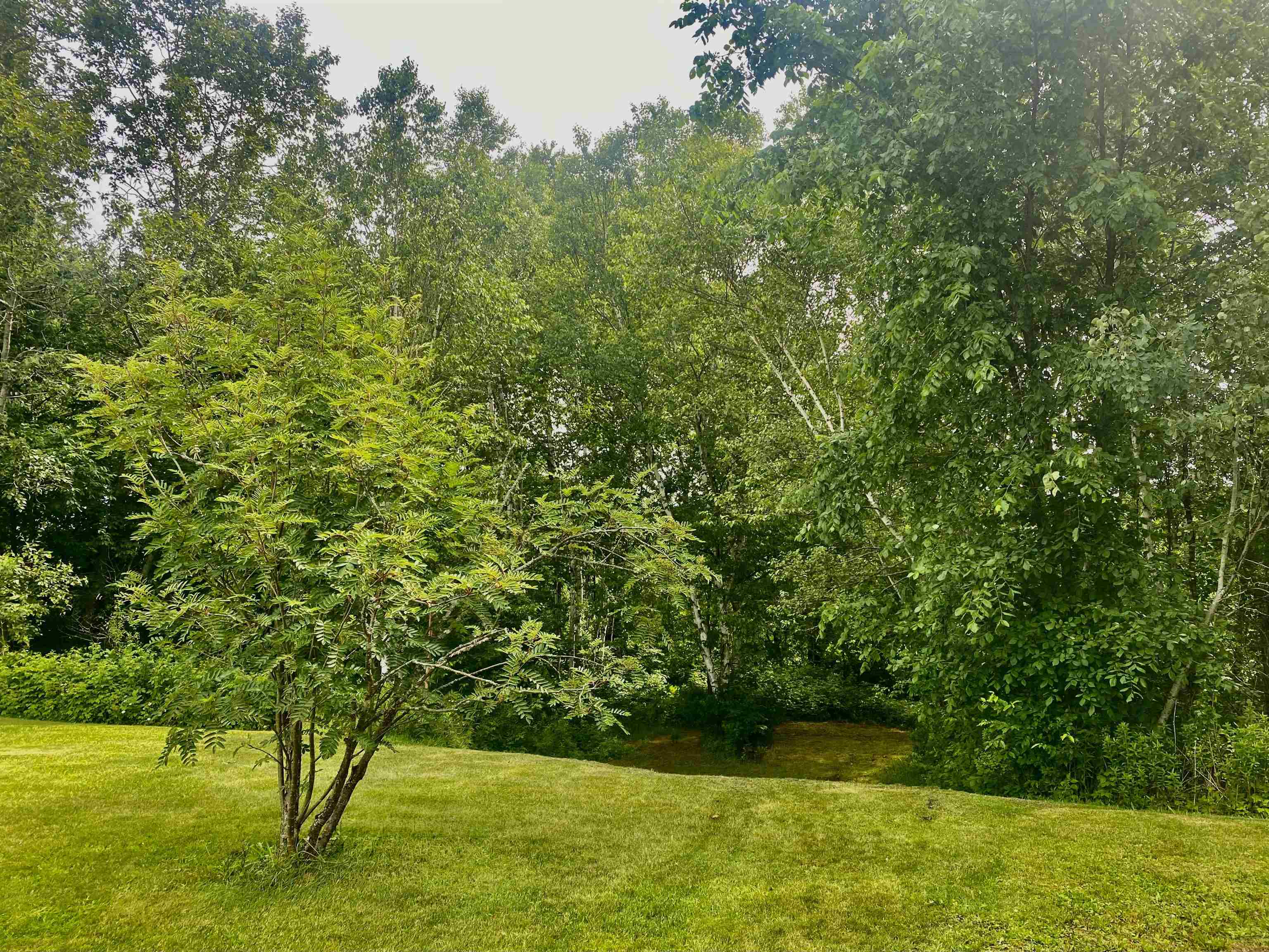 1810 Route 102 Property Photo 19