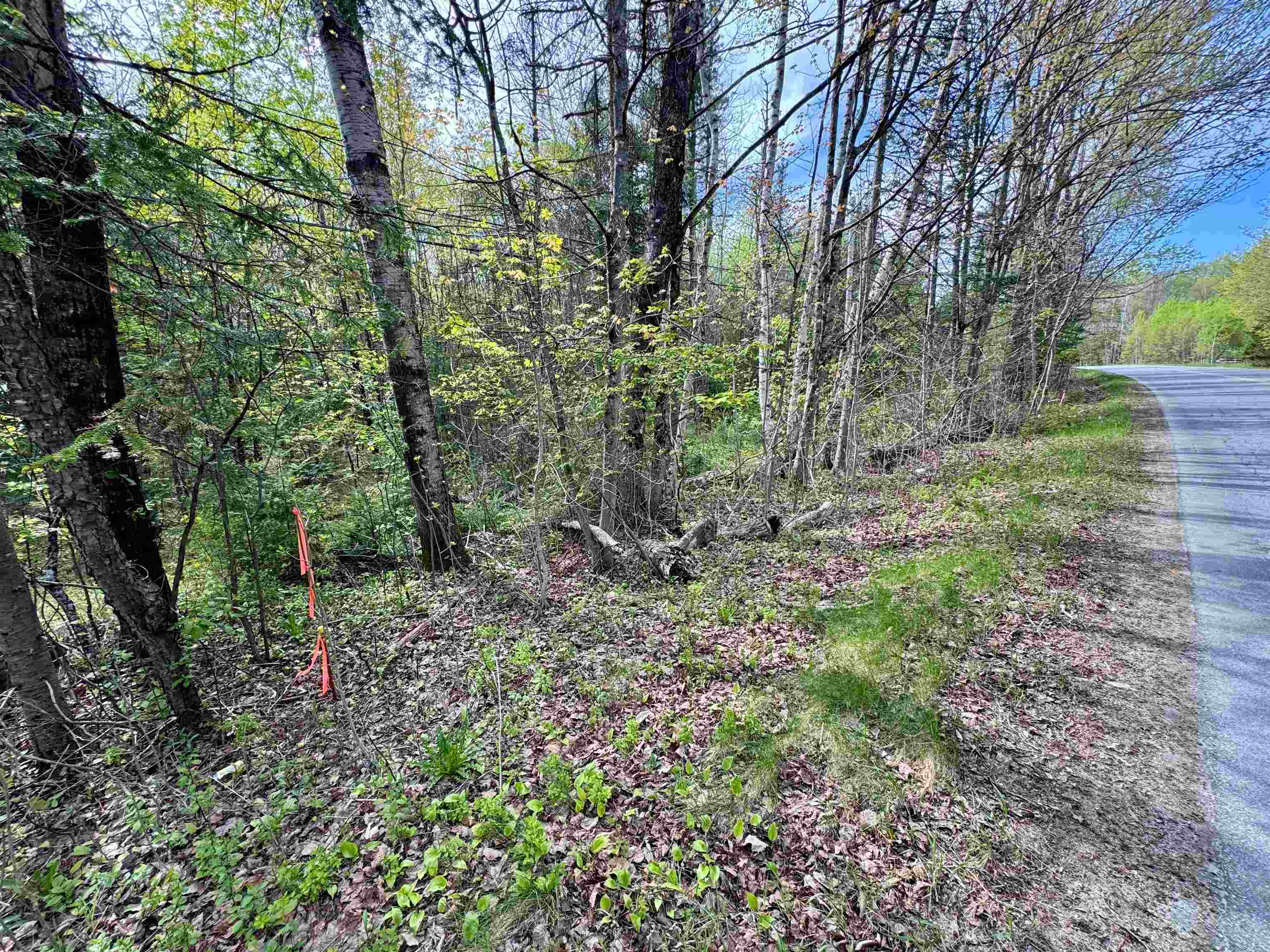 00 Oregon Road Property Photo 3