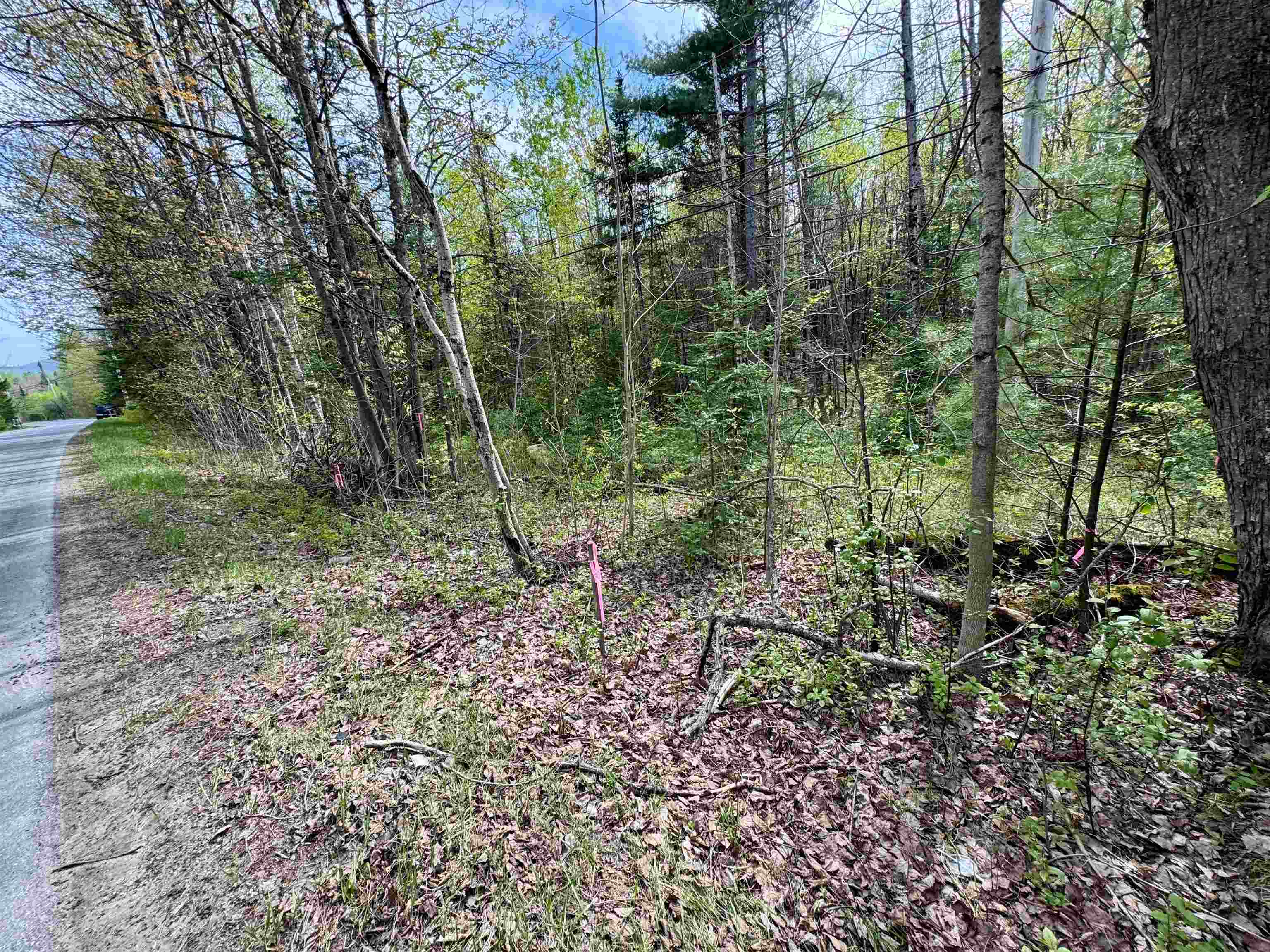 00 Oregon Road Property Photo 4