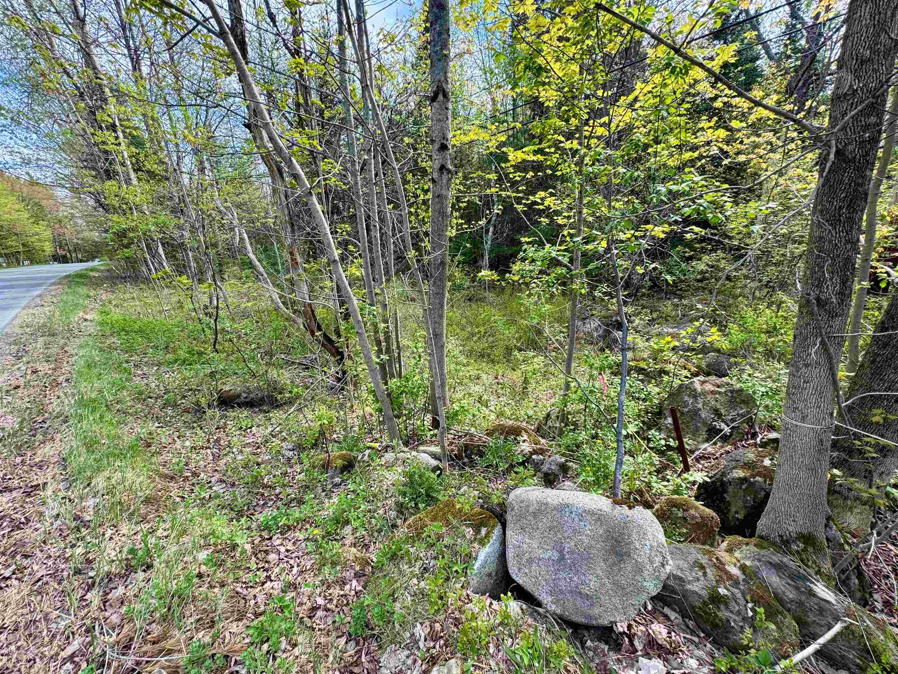00 Oregon Road Property Photo 6