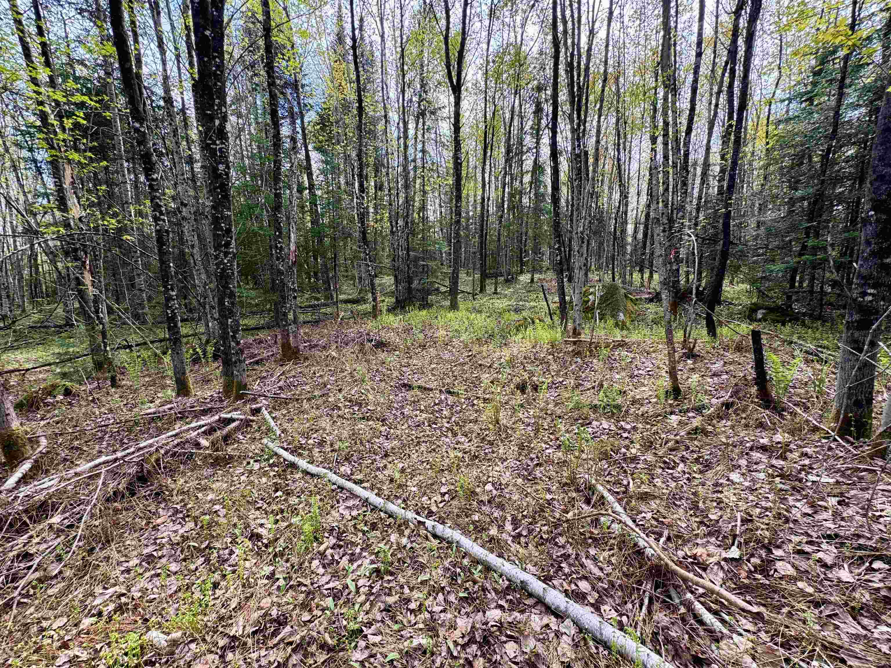 00 Oregon Road Property Photo 8