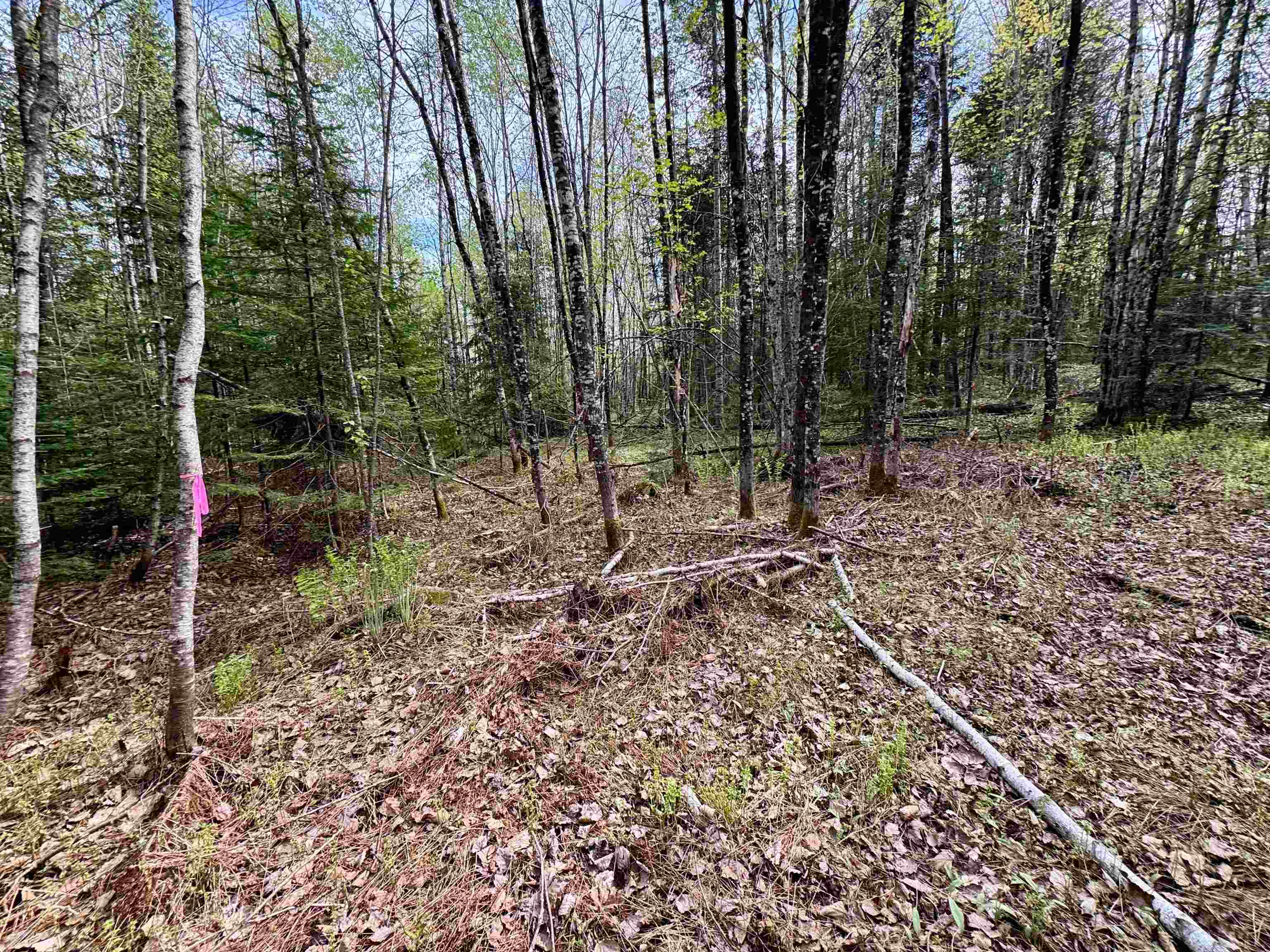 00 Oregon Road Property Photo 9