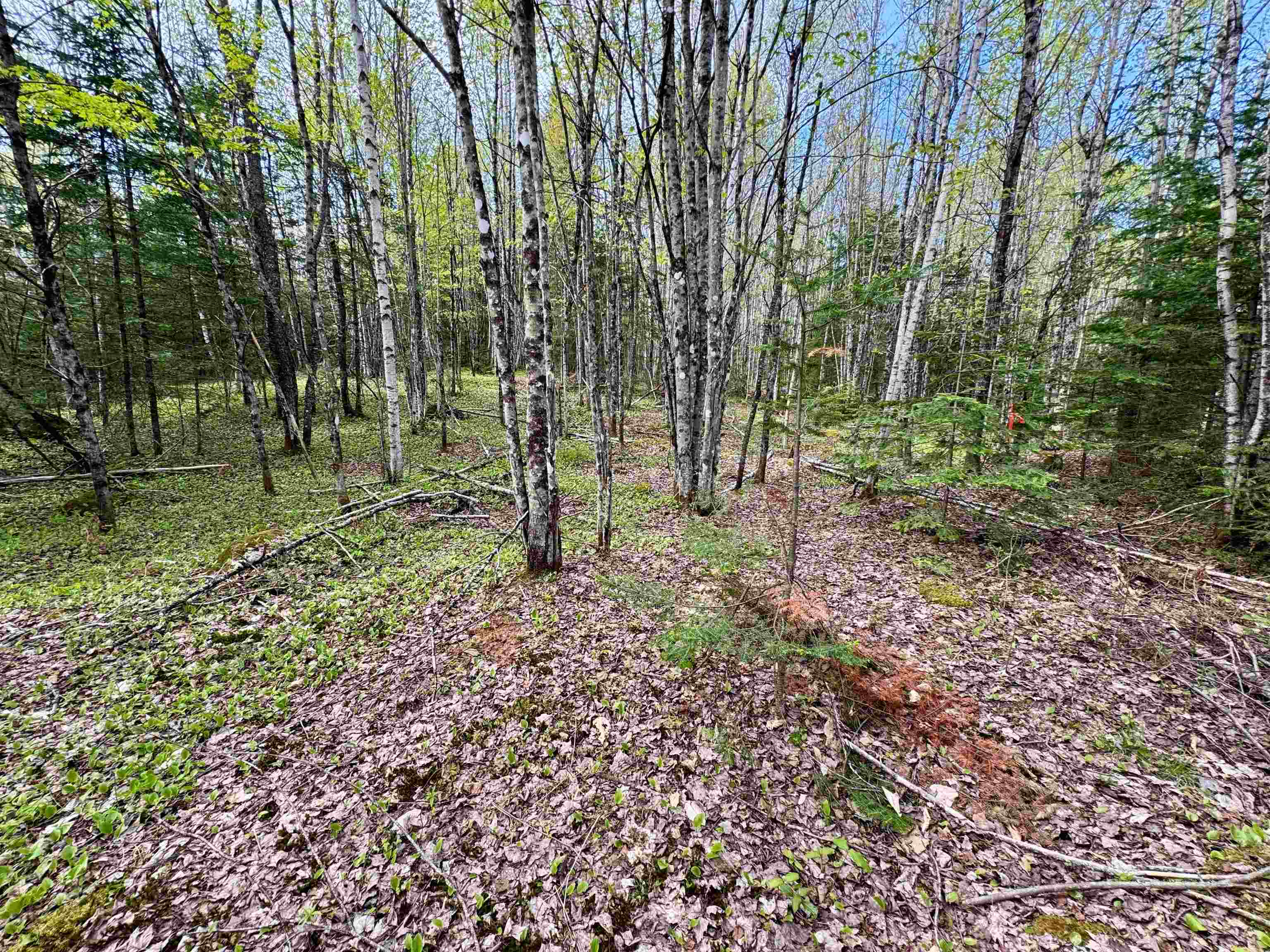 00 Oregon Road Property Photo 11