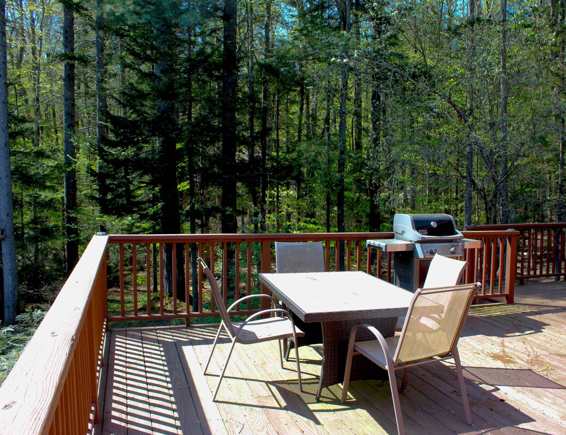 238 Hemlock Hill Road Property Photo 19