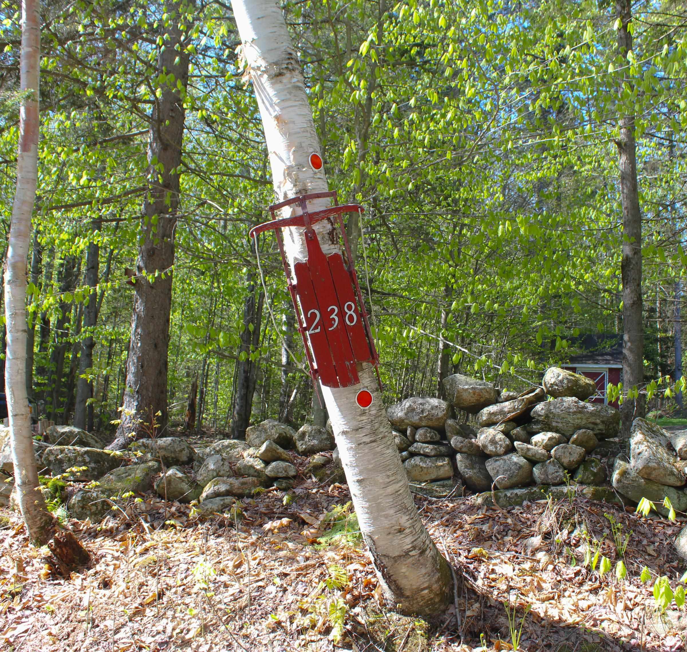 238 Hemlock Hill Road Property Photo 27