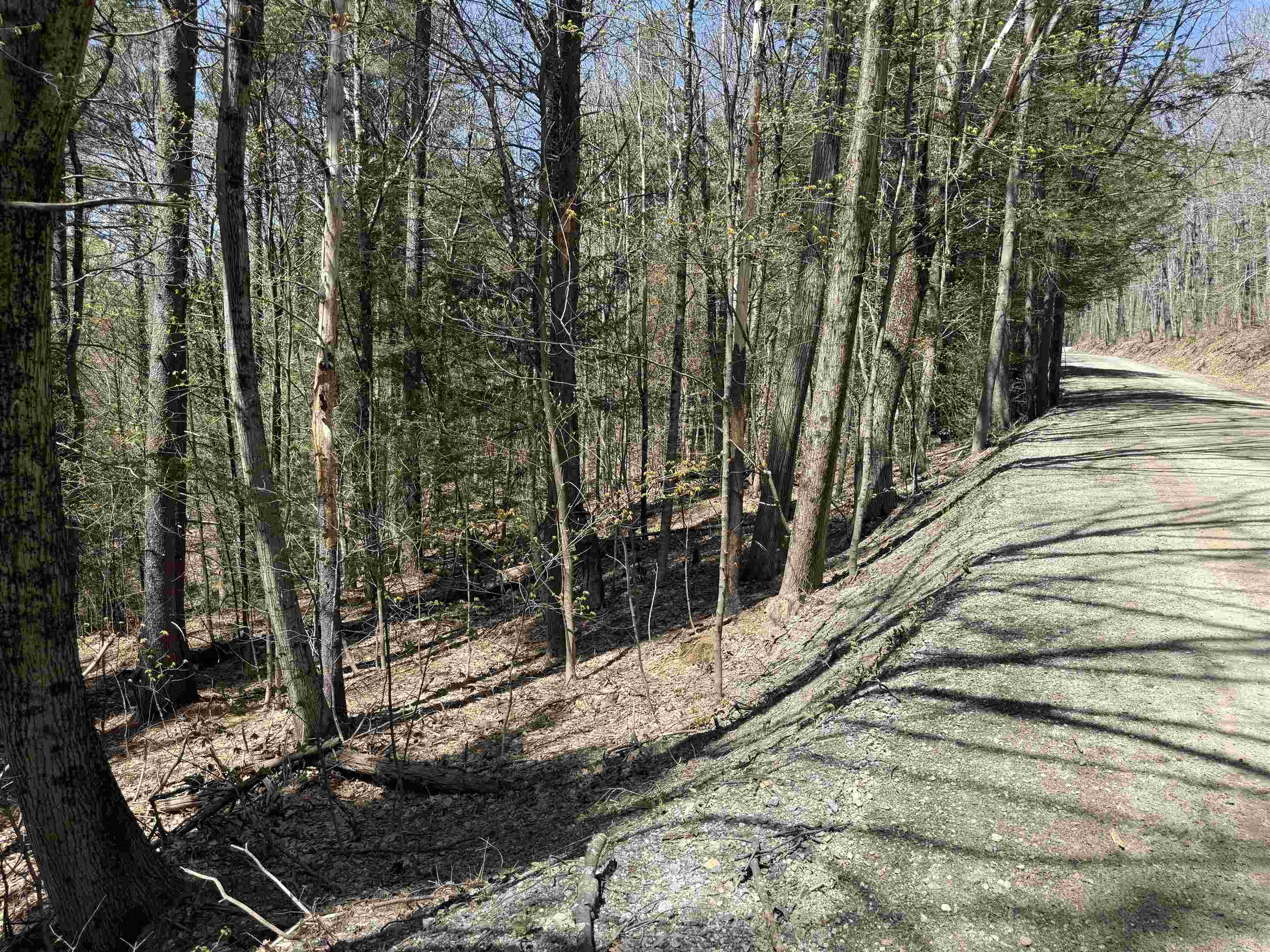 Lot 4 North Street Property Photo 10