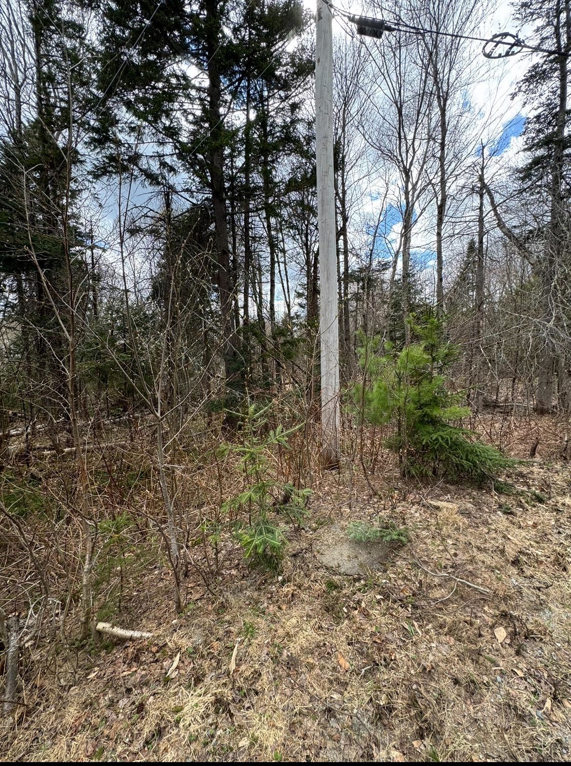 74 Antler Loop Property Photo 2