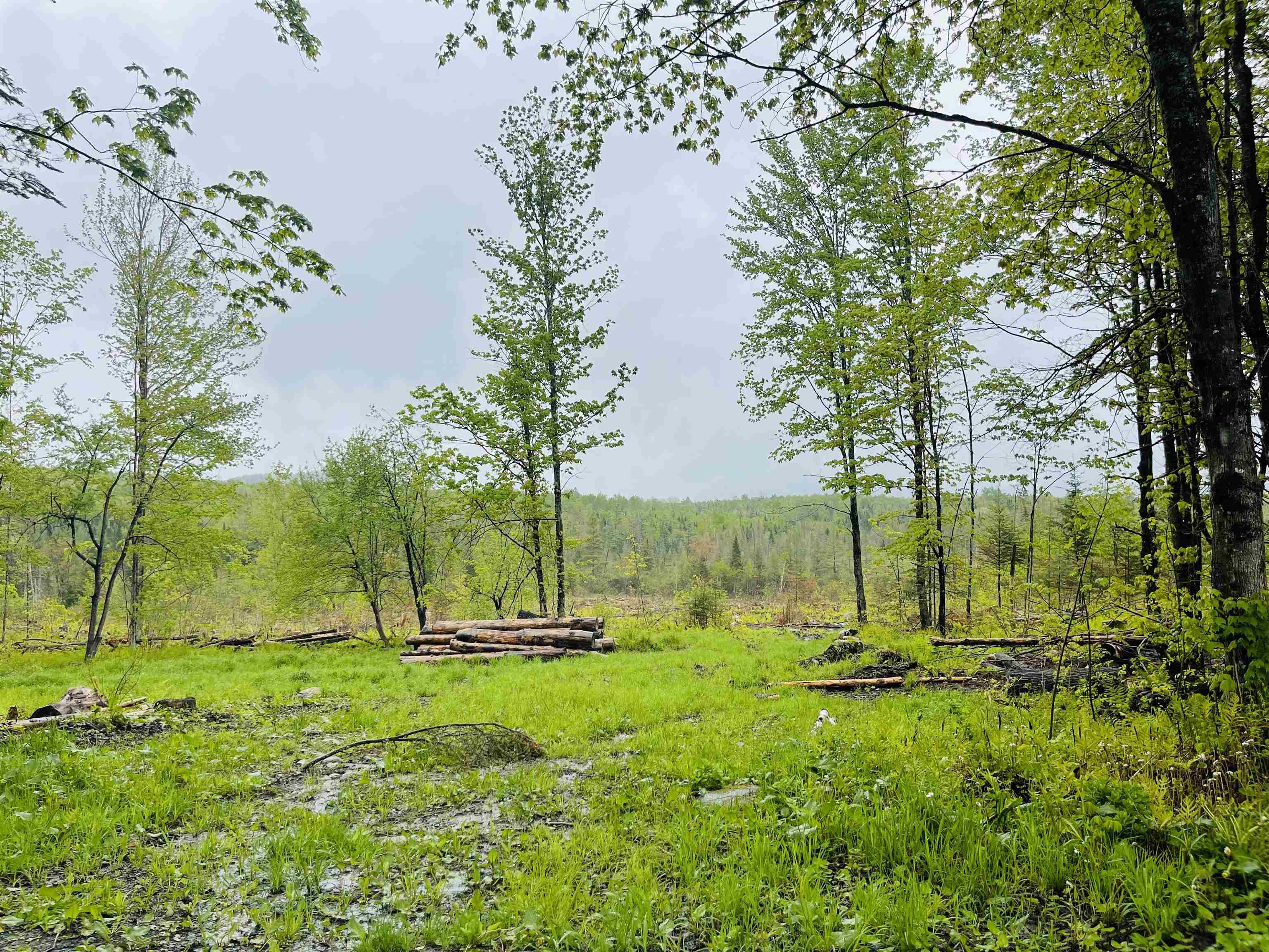 1010 Fellows Road Property Photo 24
