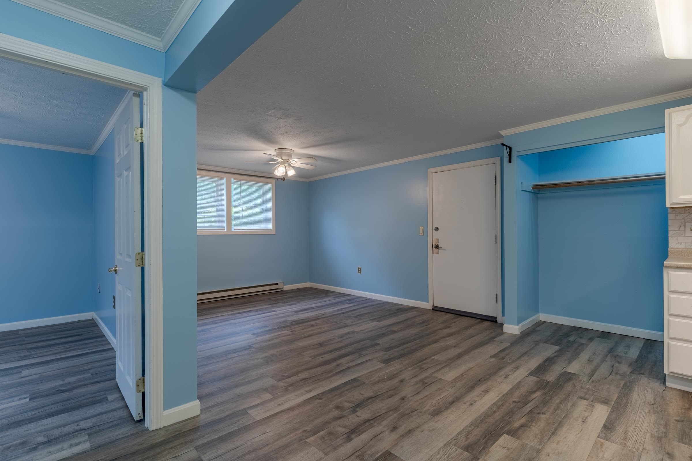 25 Ernest Avenue Property Photo 6