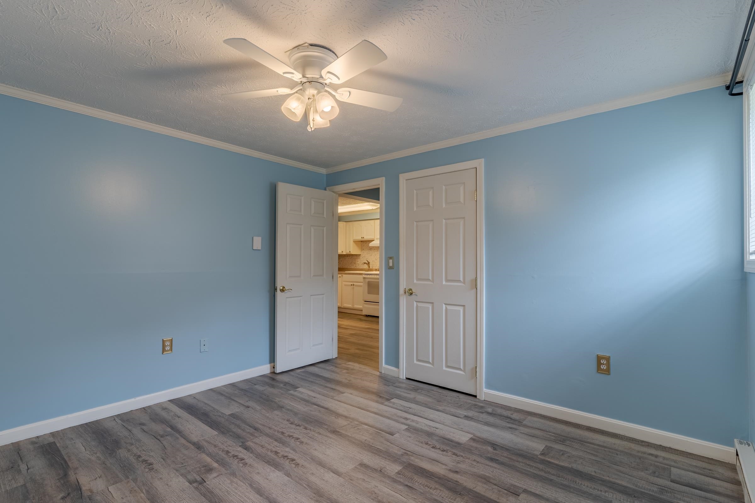 25 Ernest Avenue Property Photo 11