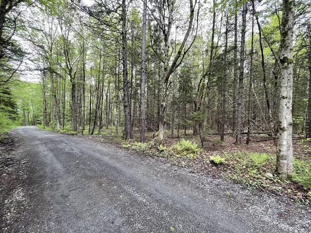 0 Honeycomb Hill Property Photo 3