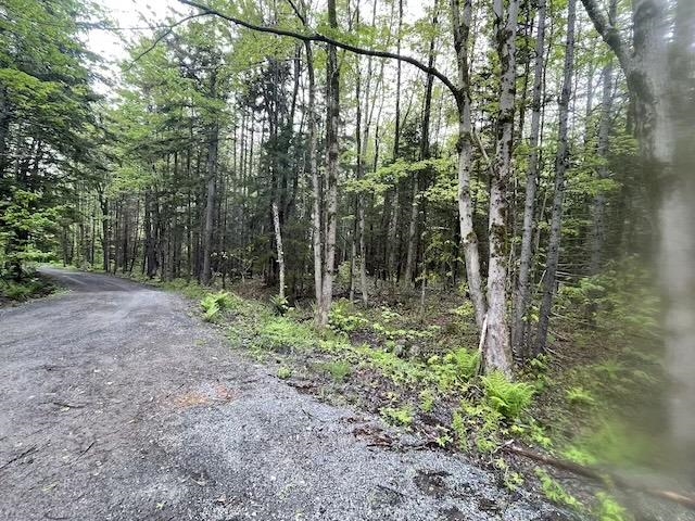 0 Honeycomb Hill Property Photo 4