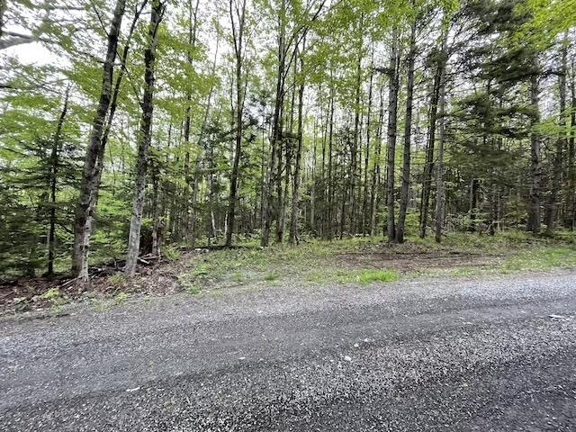 0 Honeycomb Hill Property Photo 5