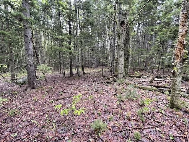 0 Honeycomb Hill Property Photo 6