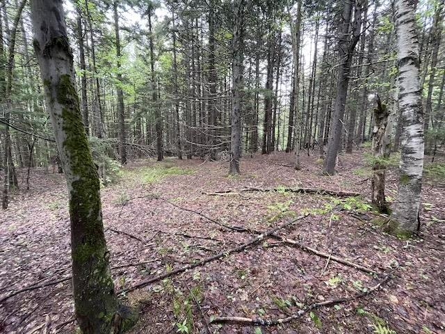 0 Honeycomb Hill Property Photo 7