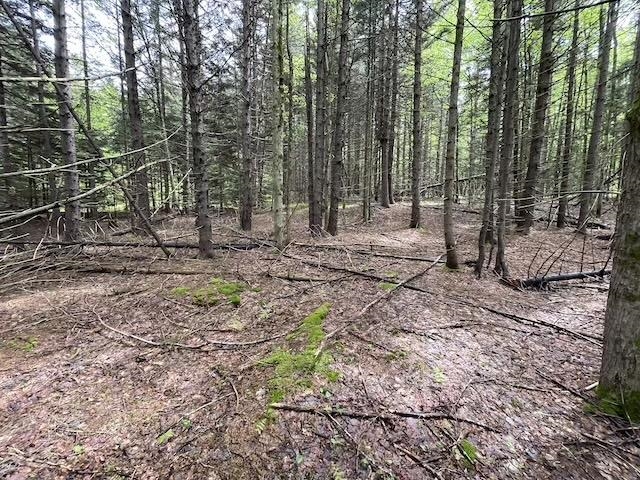 0 Honeycomb Hill Property Photo 11