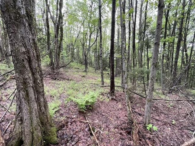 0 Honeycomb Hill Property Photo 12