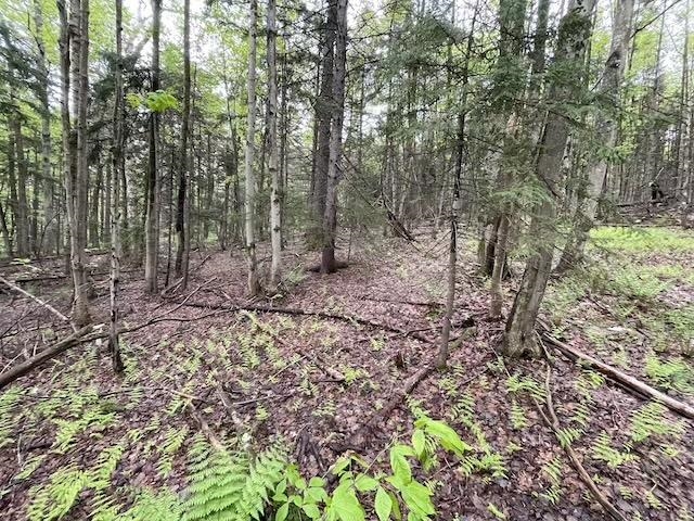0 Honeycomb Hill Property Photo 13