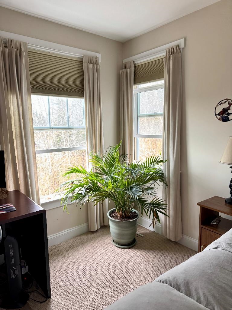 1 Stannard Drive Property Photo 18