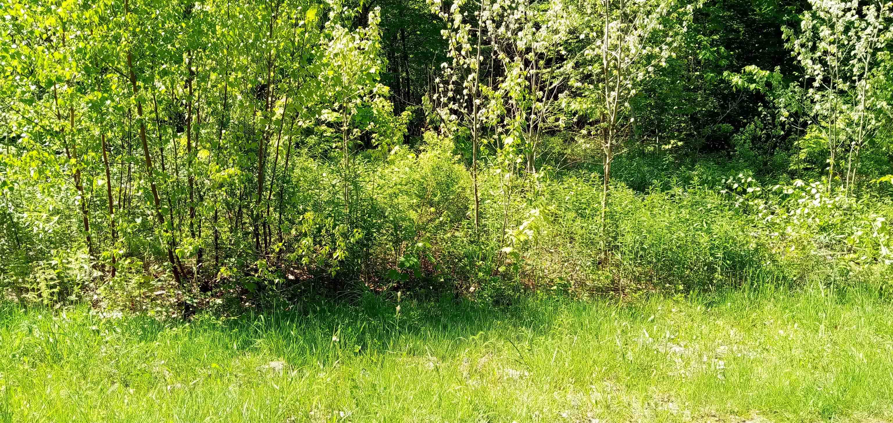 00 Arnold Lane Property Photo 2