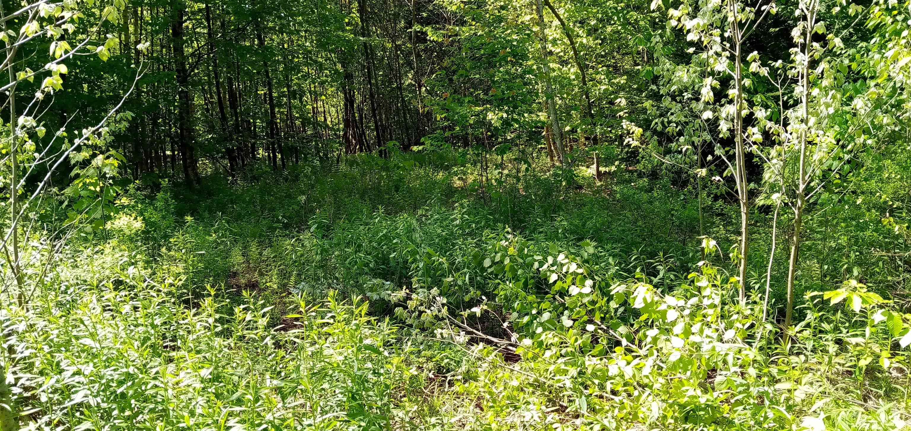 00 Arnold Lane Property Photo 3