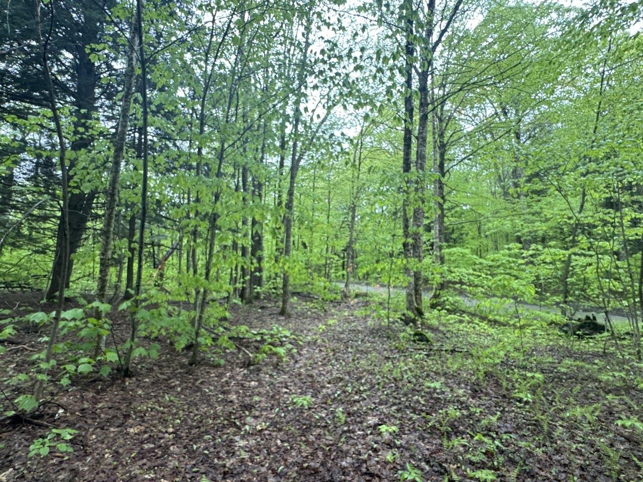 1585 Amidon Road Property Photo 40