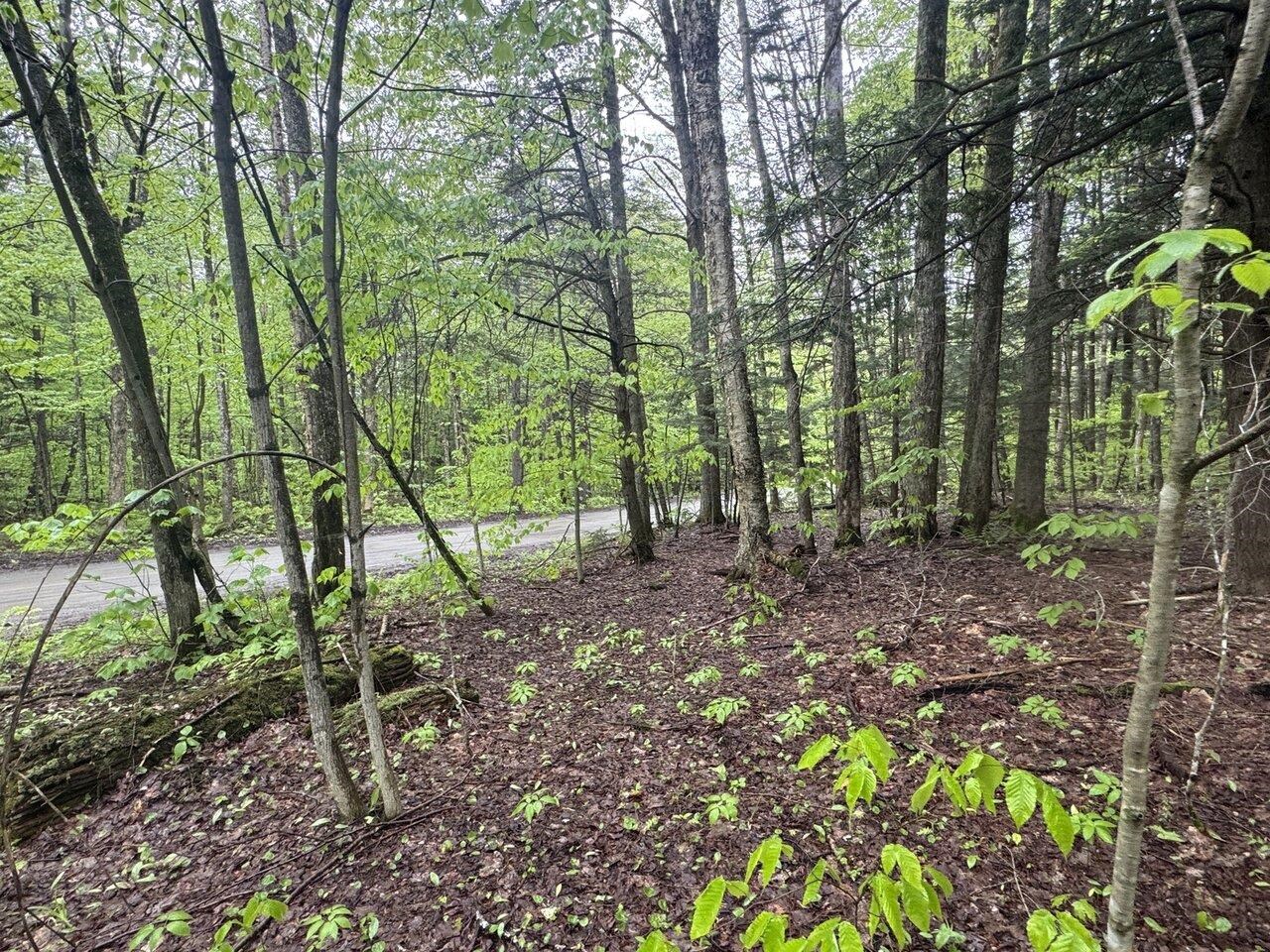 1585 Amidon Road Property Photo 41