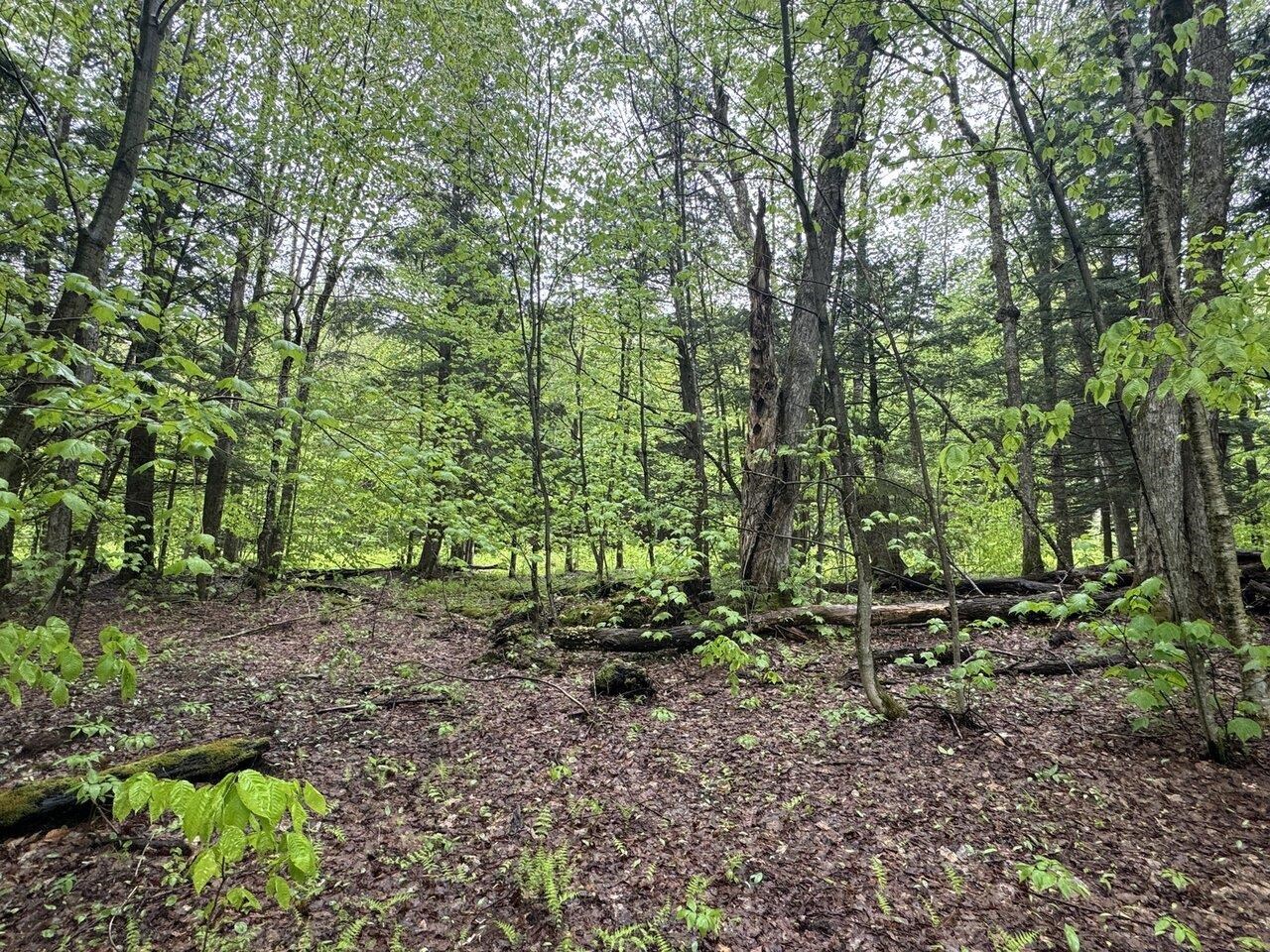 1585 Amidon Road Property Photo 42