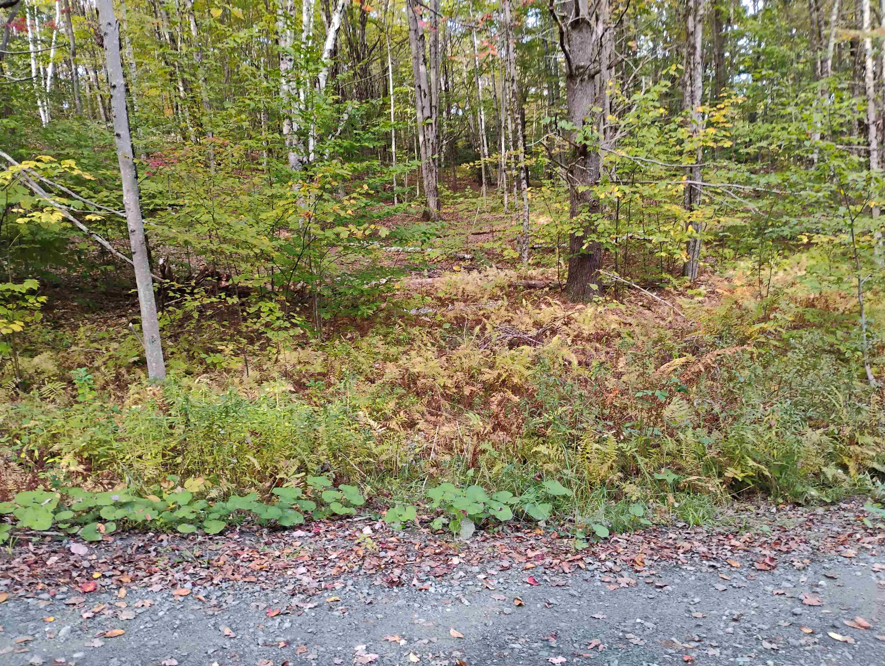 0 Banning Road Property Photo 12