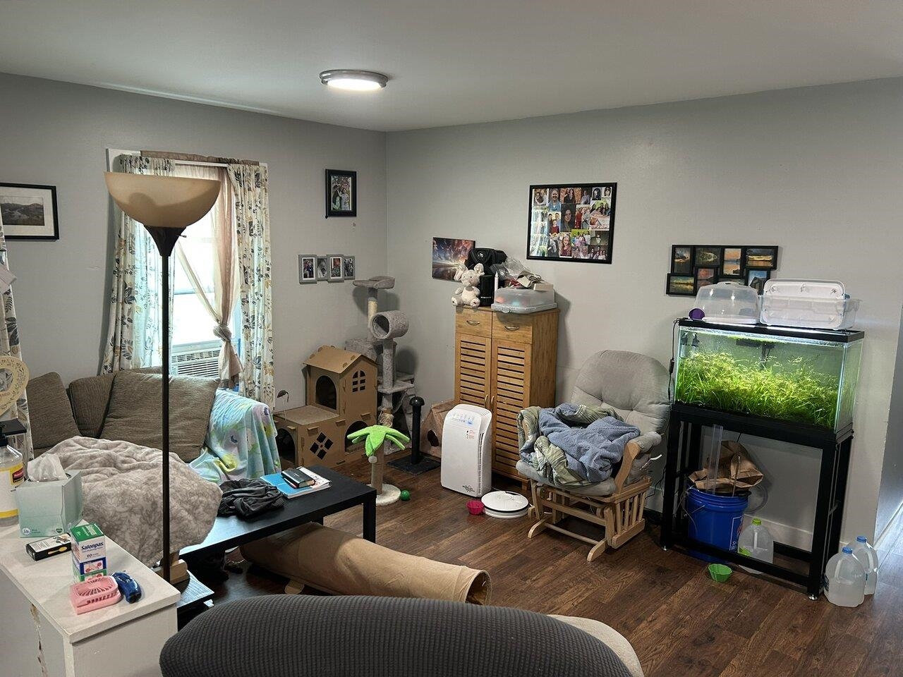 30 Willey Street Property Photo 5