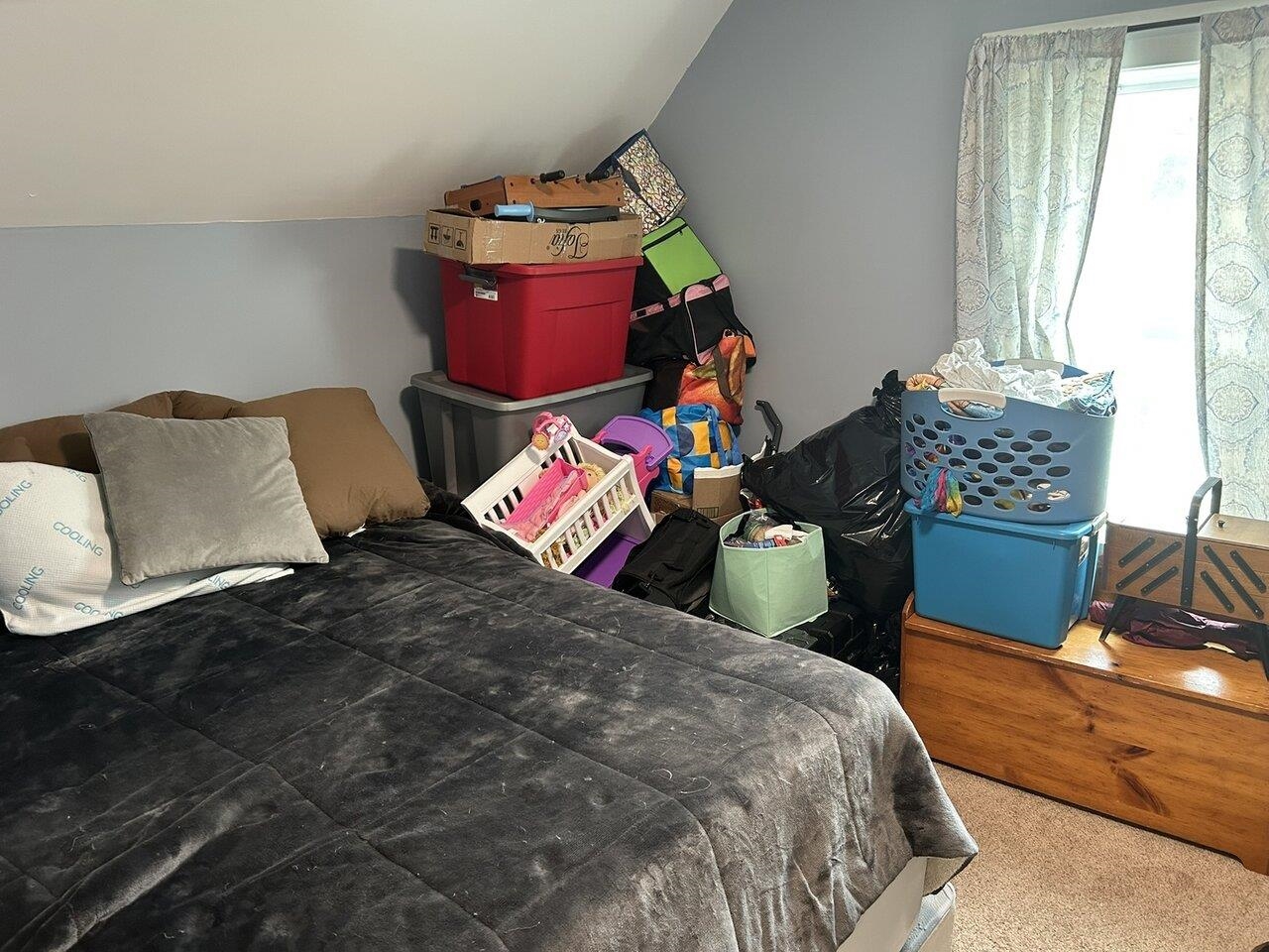 30 Willey Street Property Photo 8